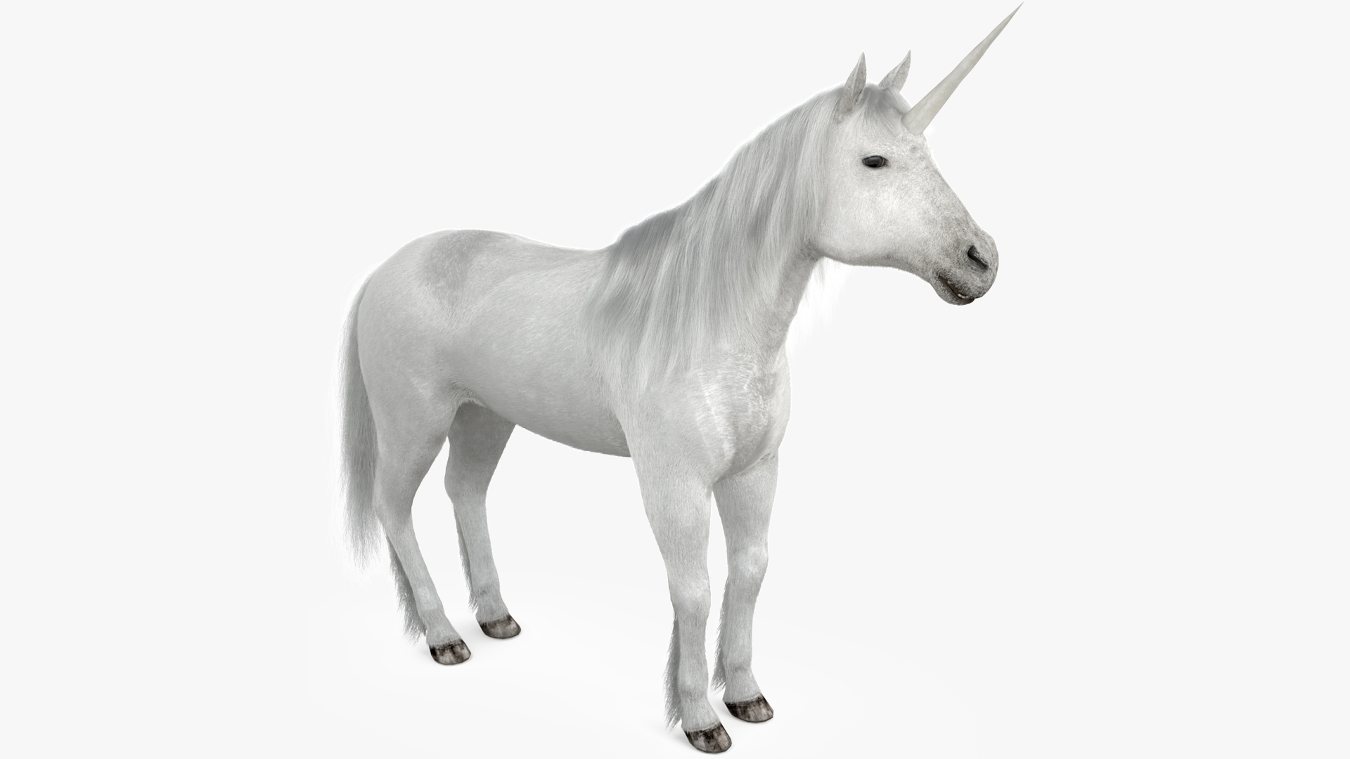 White Unicorn with Fur 3D