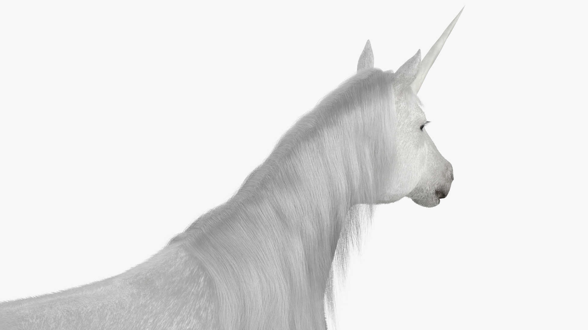 White Unicorn with Fur 3D
