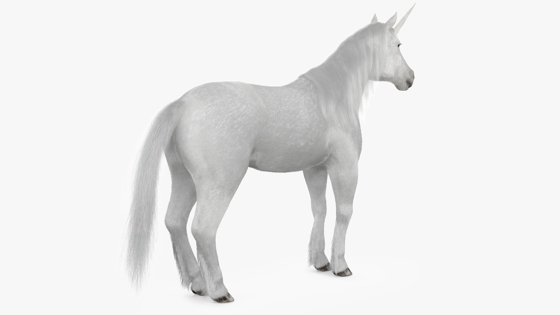 White Unicorn with Fur 3D