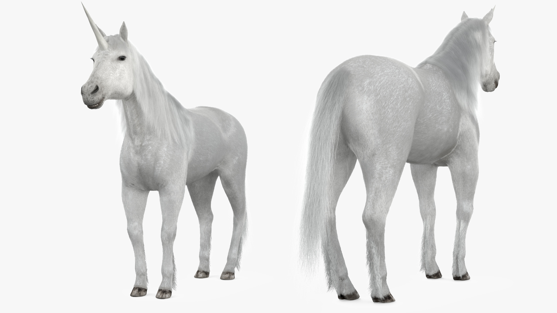 White Unicorn with Fur 3D