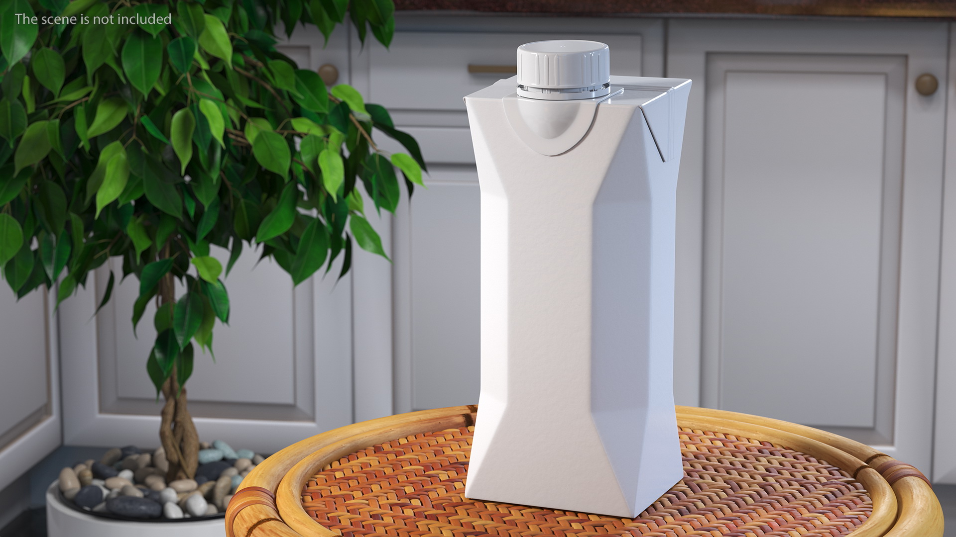 Beveled Edge Small Aseptic Carton with Cap 3D