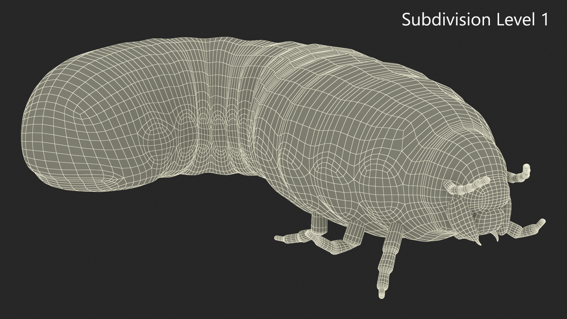 3D model Maggot May Bug Rigged Fur