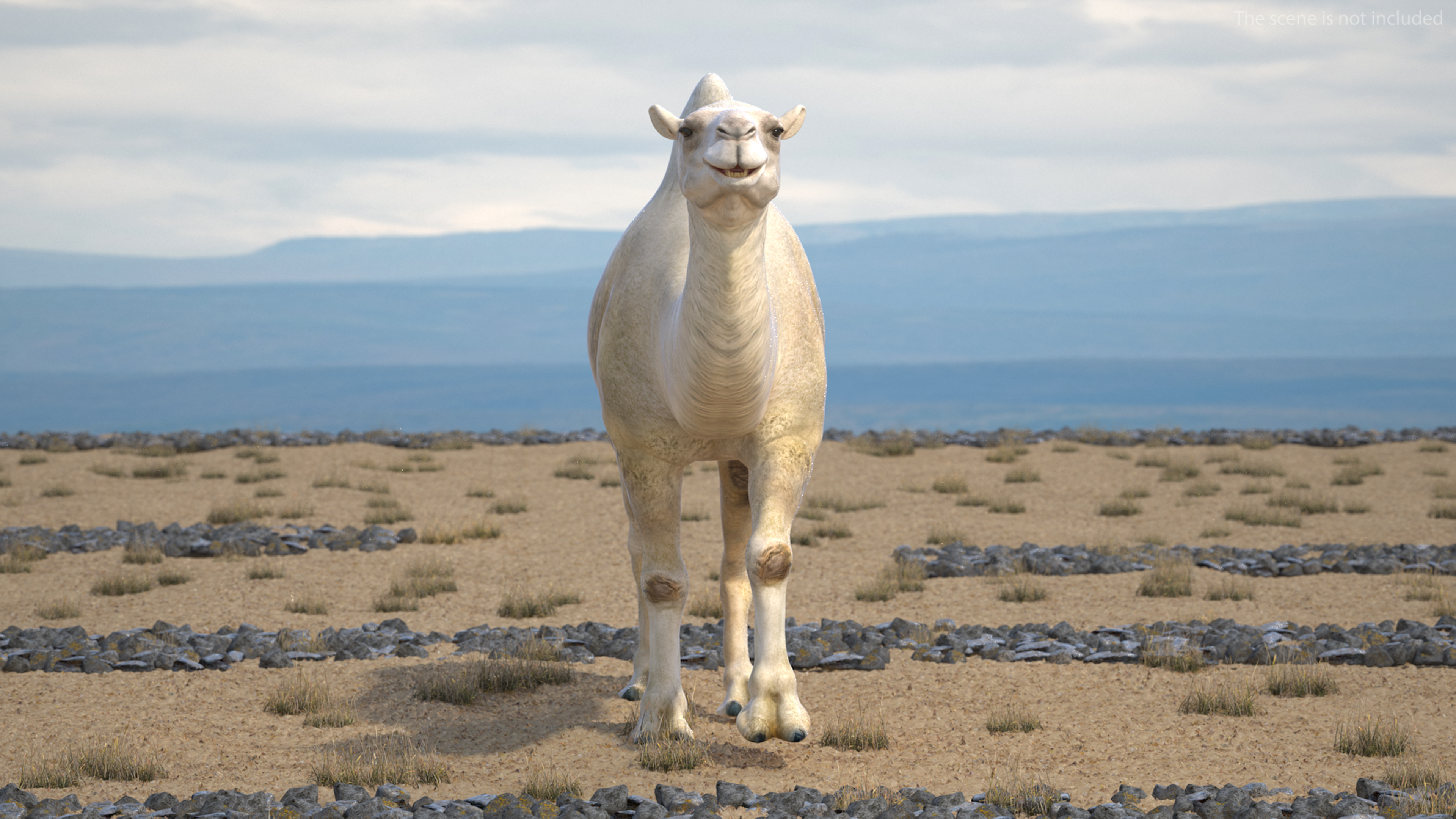 3D model Bactrian Camel Light Colored Rigged