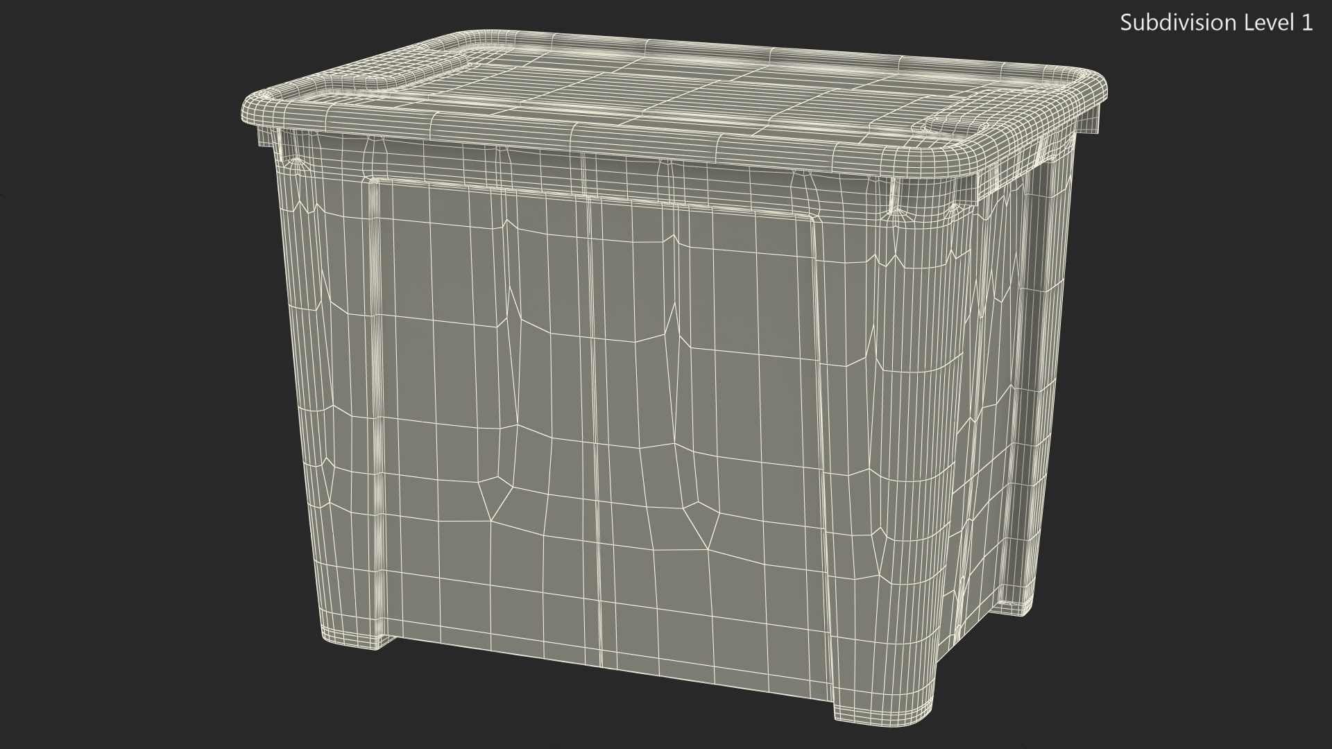 Large Transparent Plastic Container with Lid 3D model