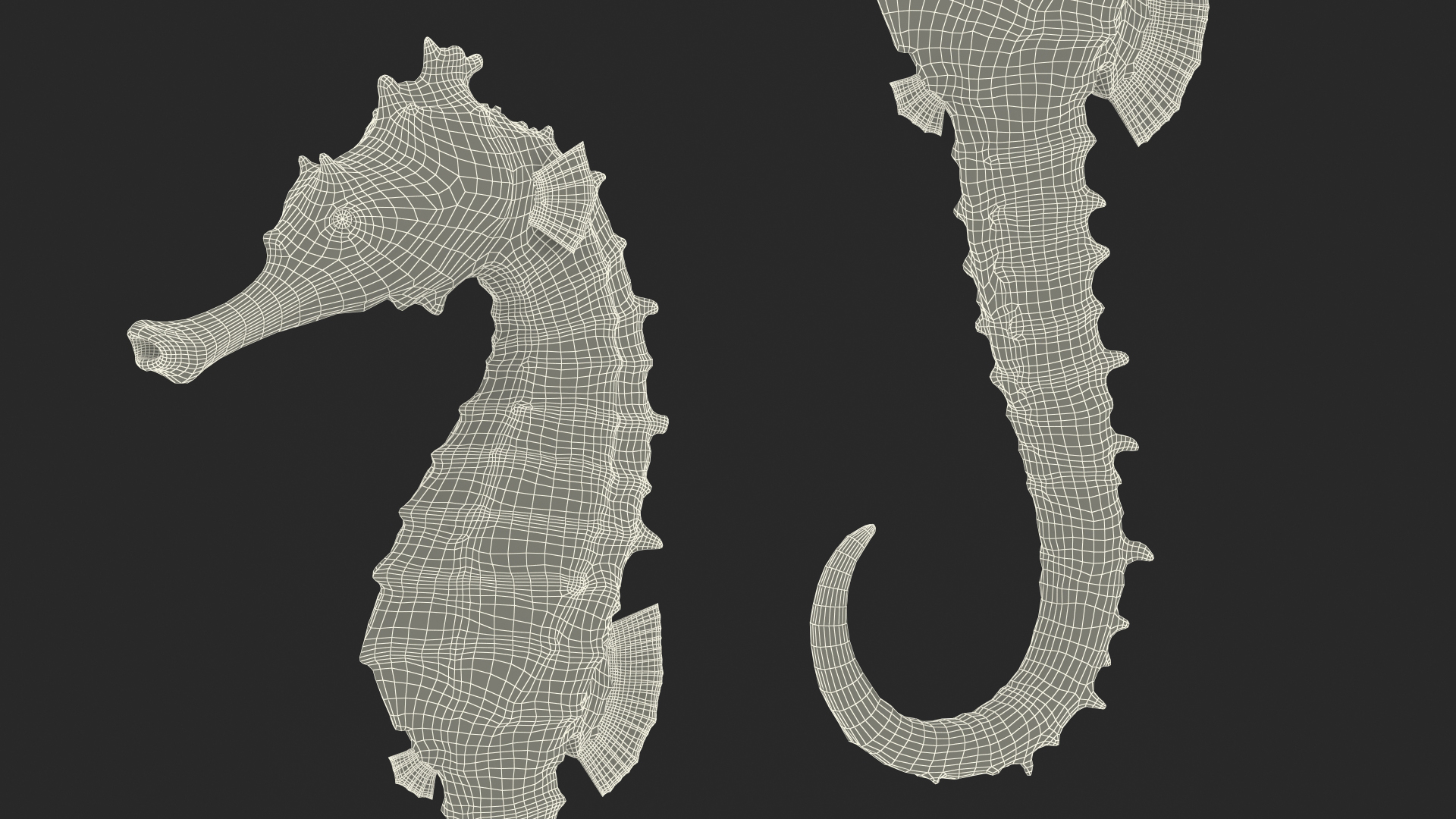 3D model Spotted Seahorse Hippocampus Kuda Rigged