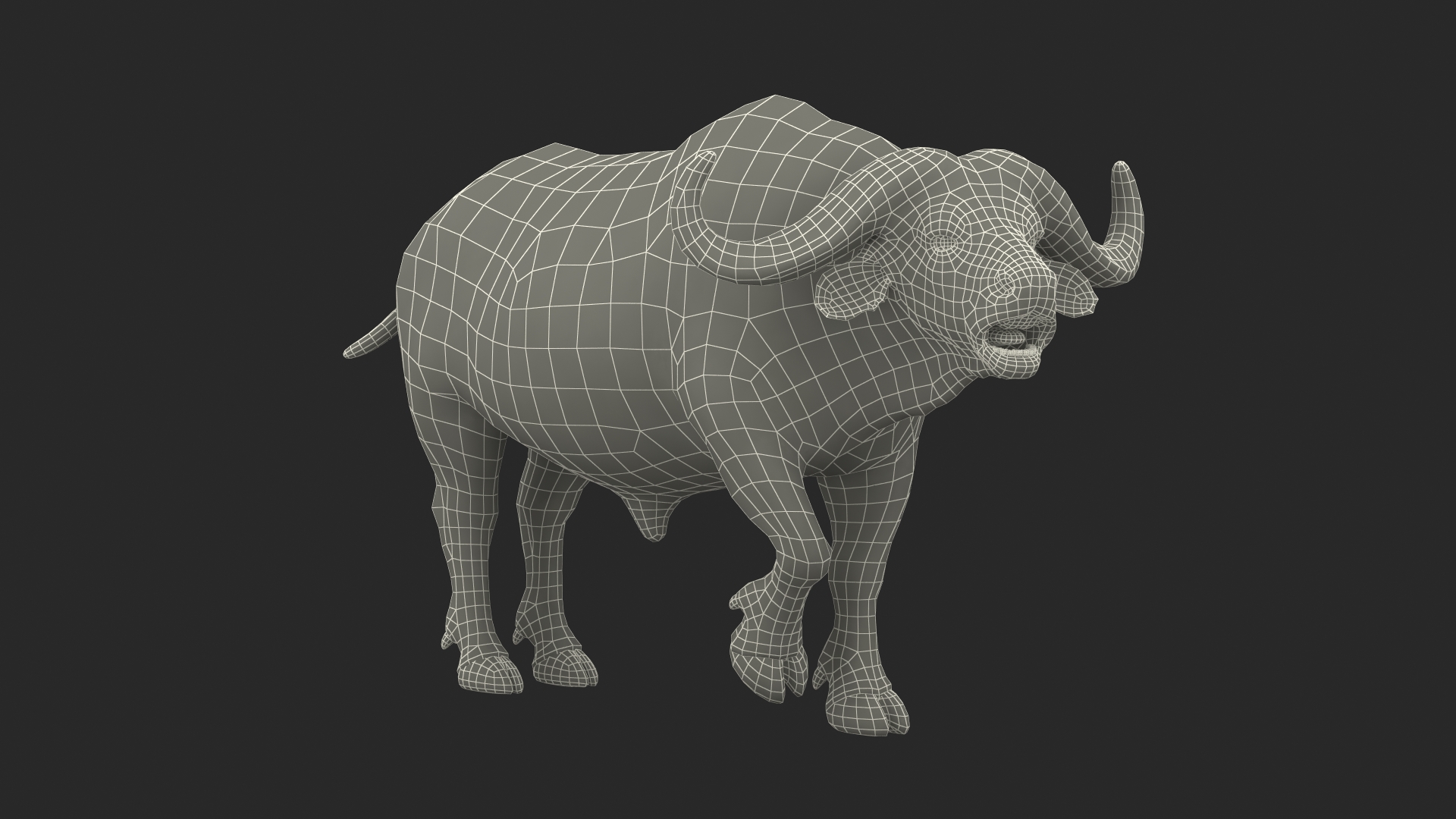 Cape Buffalo African Buffalo with Fur Rigged 3D model