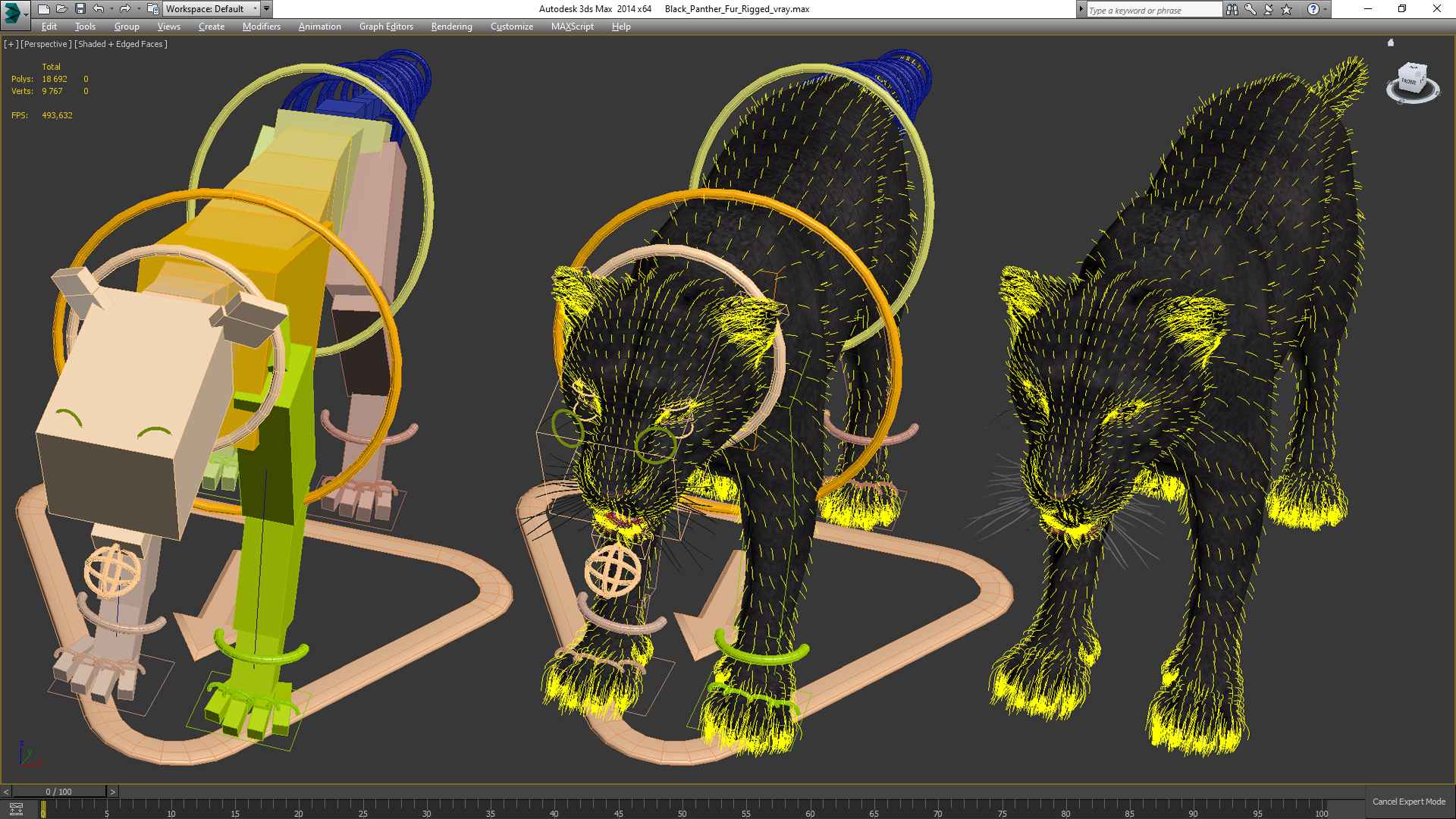 Black Panther Fur Rigged 3D model