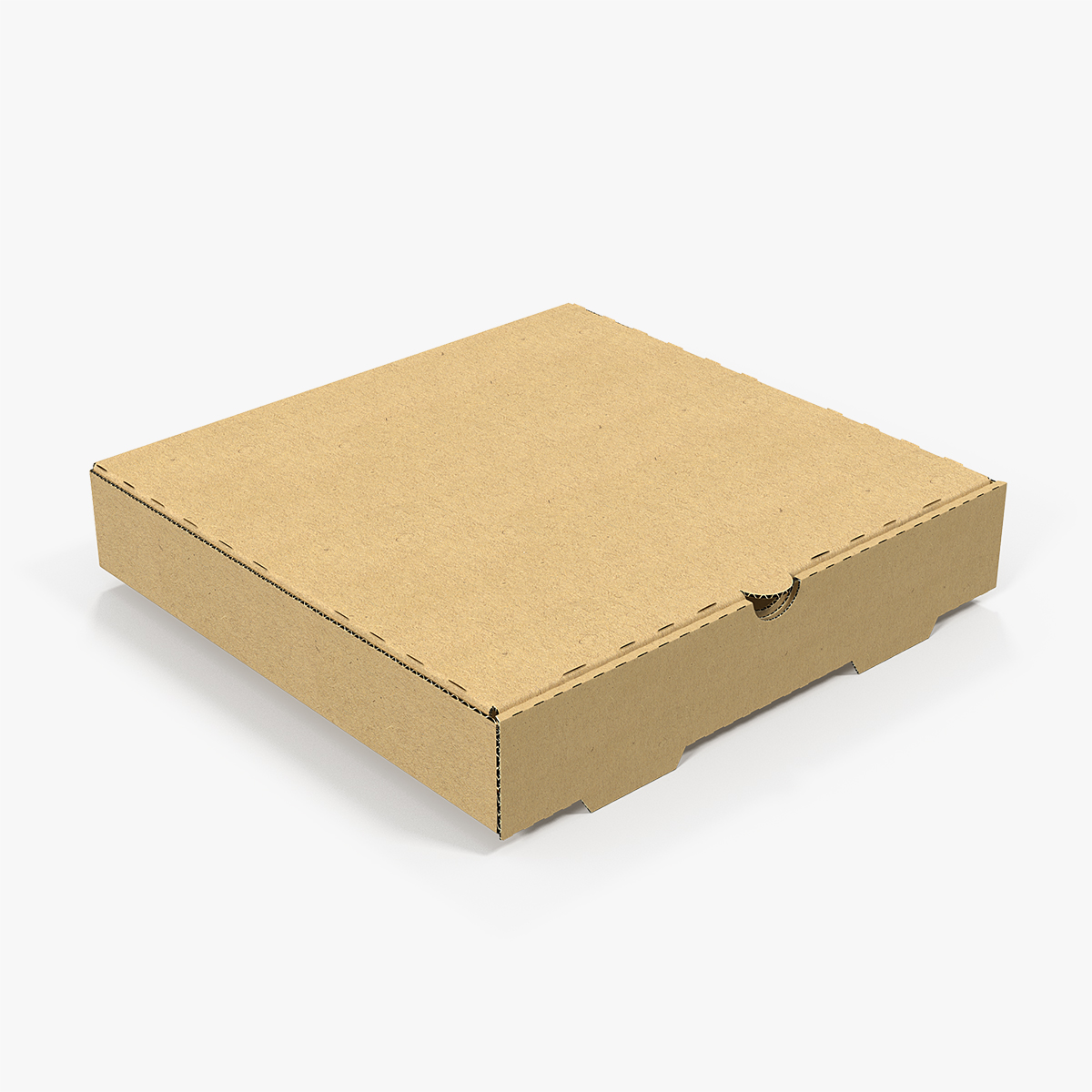 Carton Pizza Box, view 5