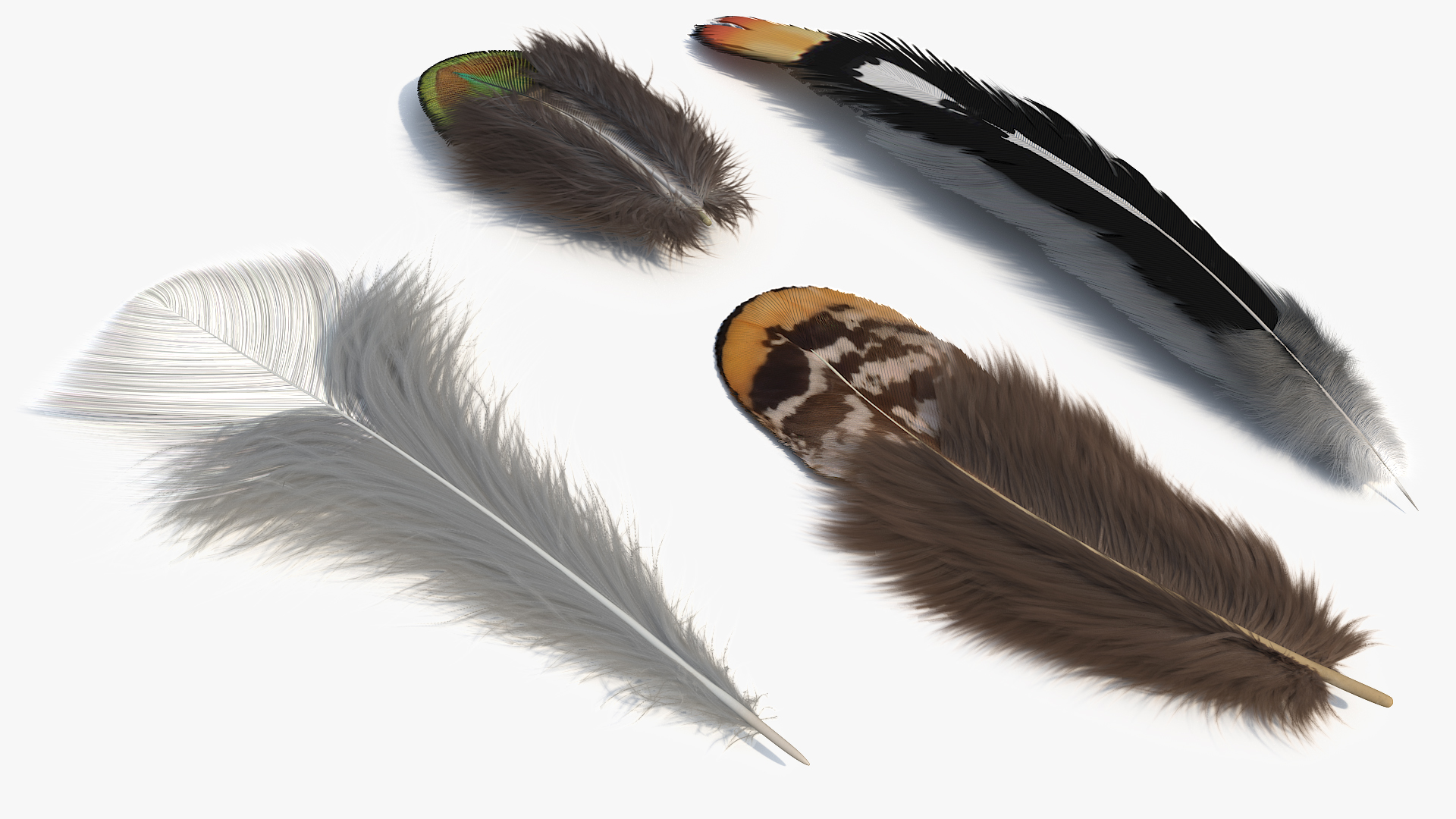 Natural Bird Feathers Set Multicolor Fur - view 4