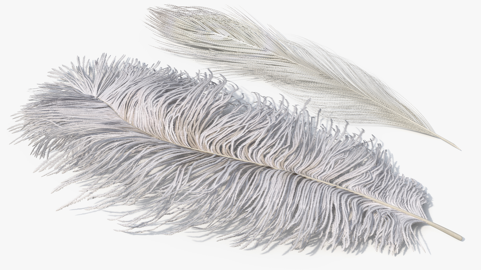 Natural Bird Feathers Set Multicolor Fur - view 7