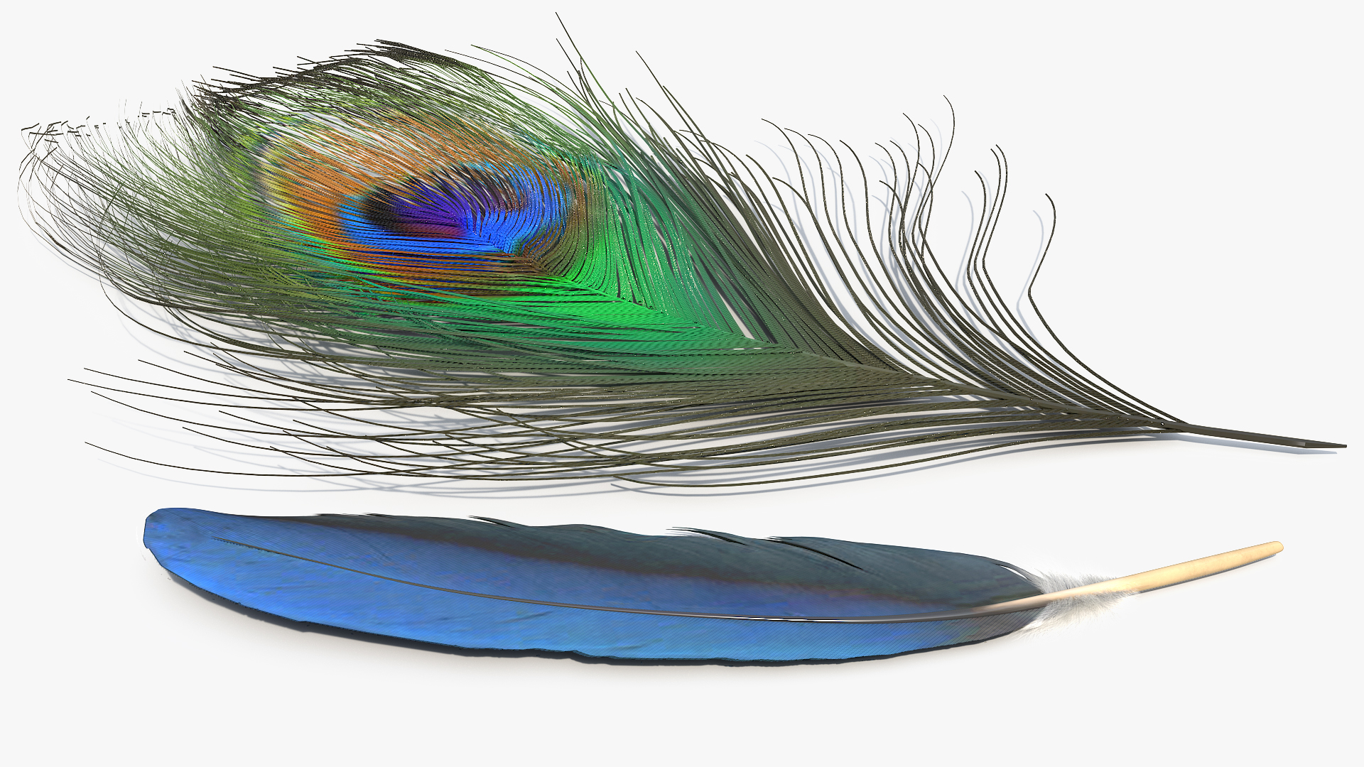 Natural Bird Feathers Set Multicolor Fur - view 8