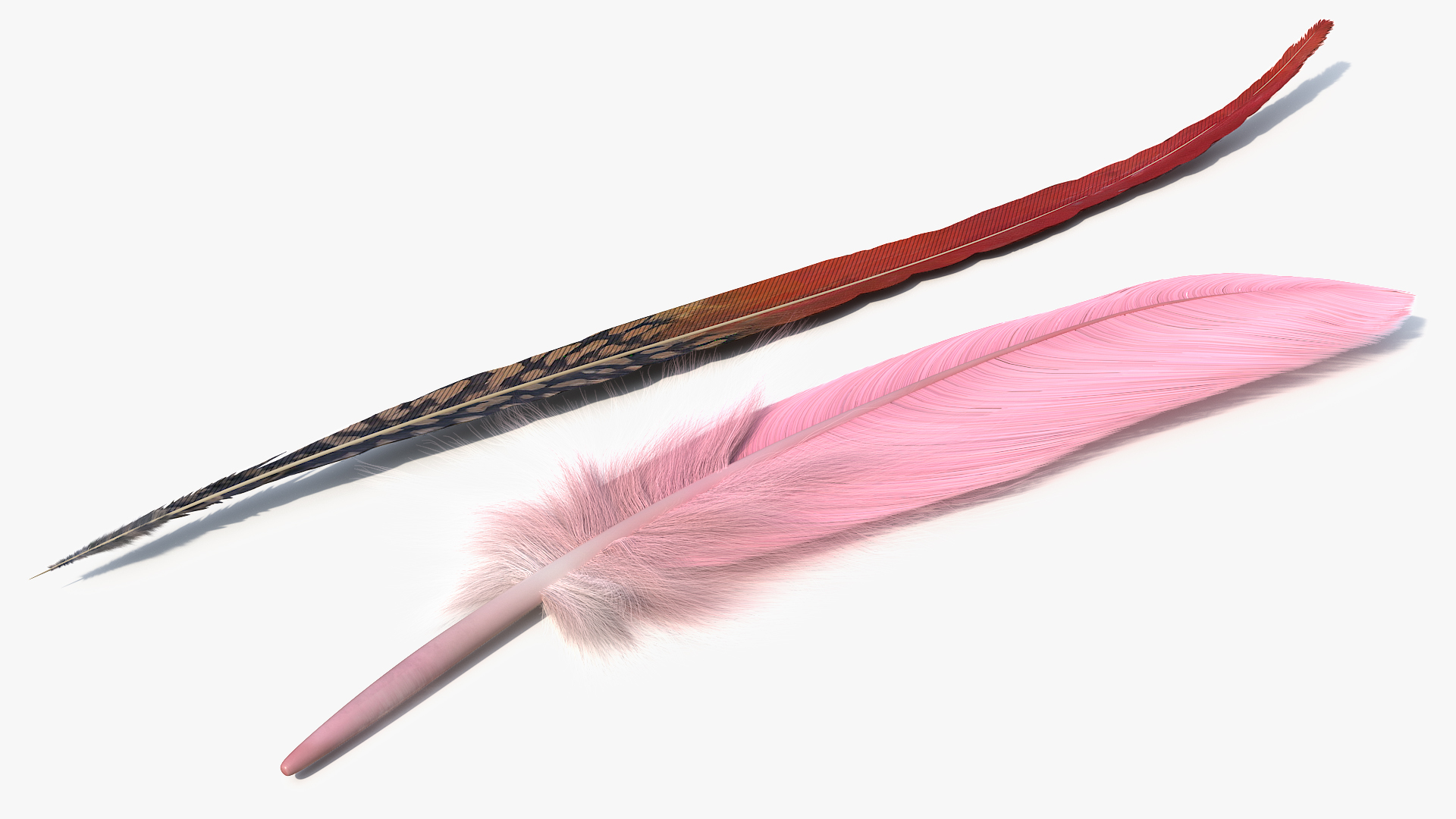 Natural Bird Feathers Set Multicolor Fur - view 6