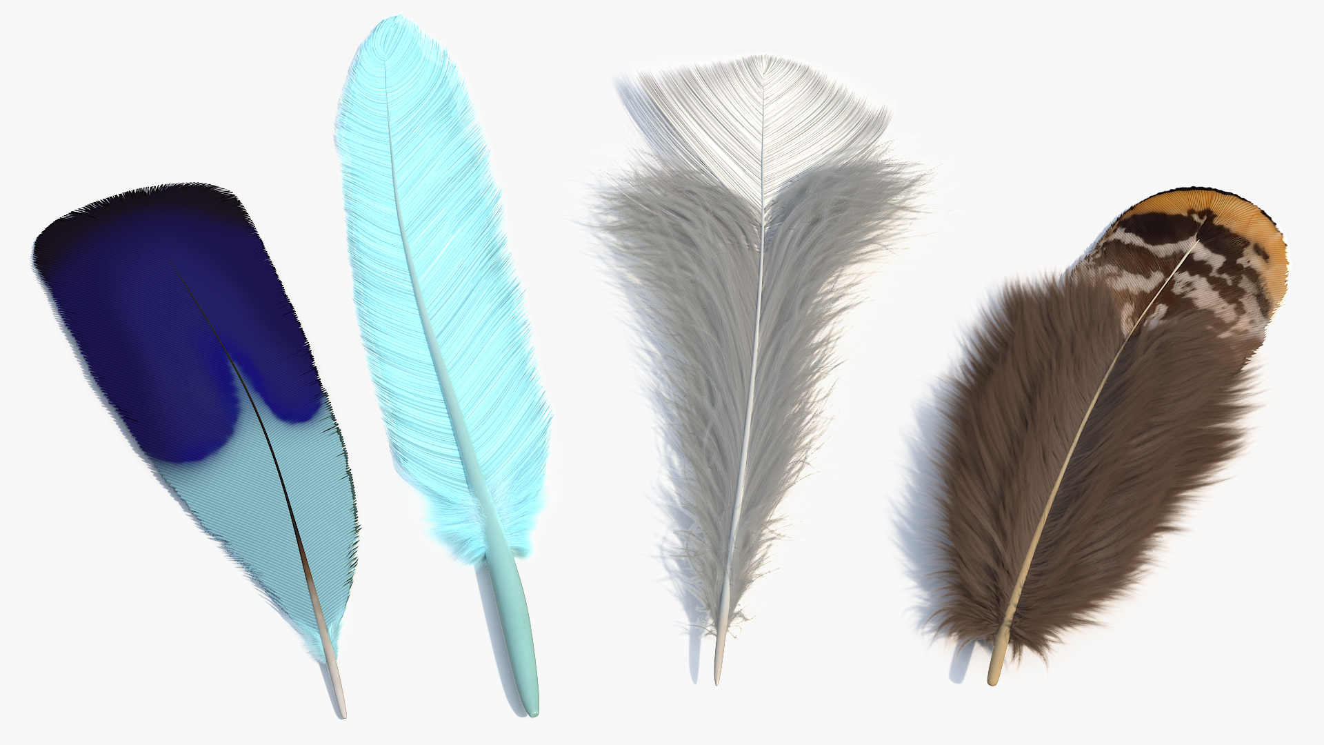 Natural Bird Feathers Set Multicolor Fur - view 5
