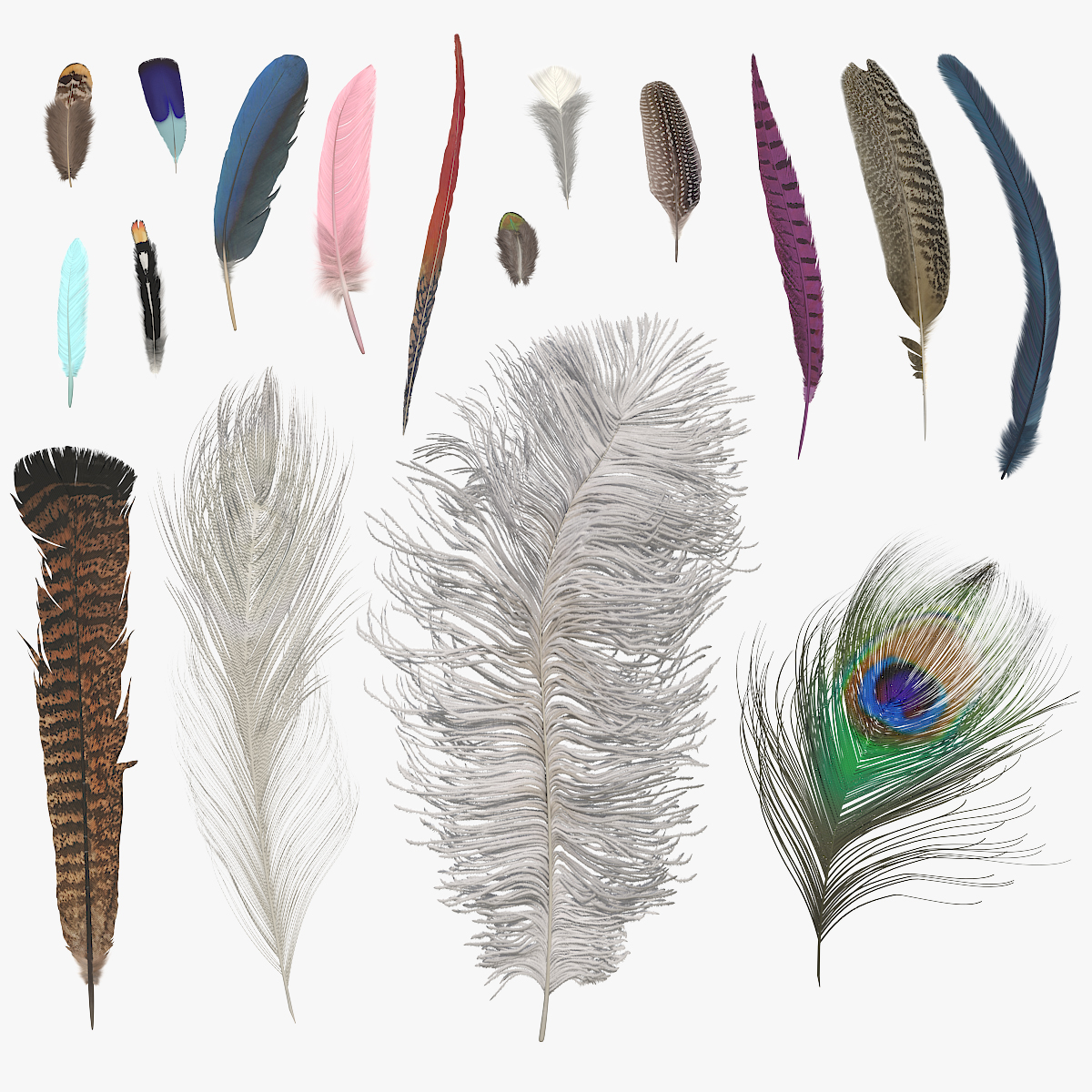 Natural Bird Feathers Set Multicolor Fur - view 12