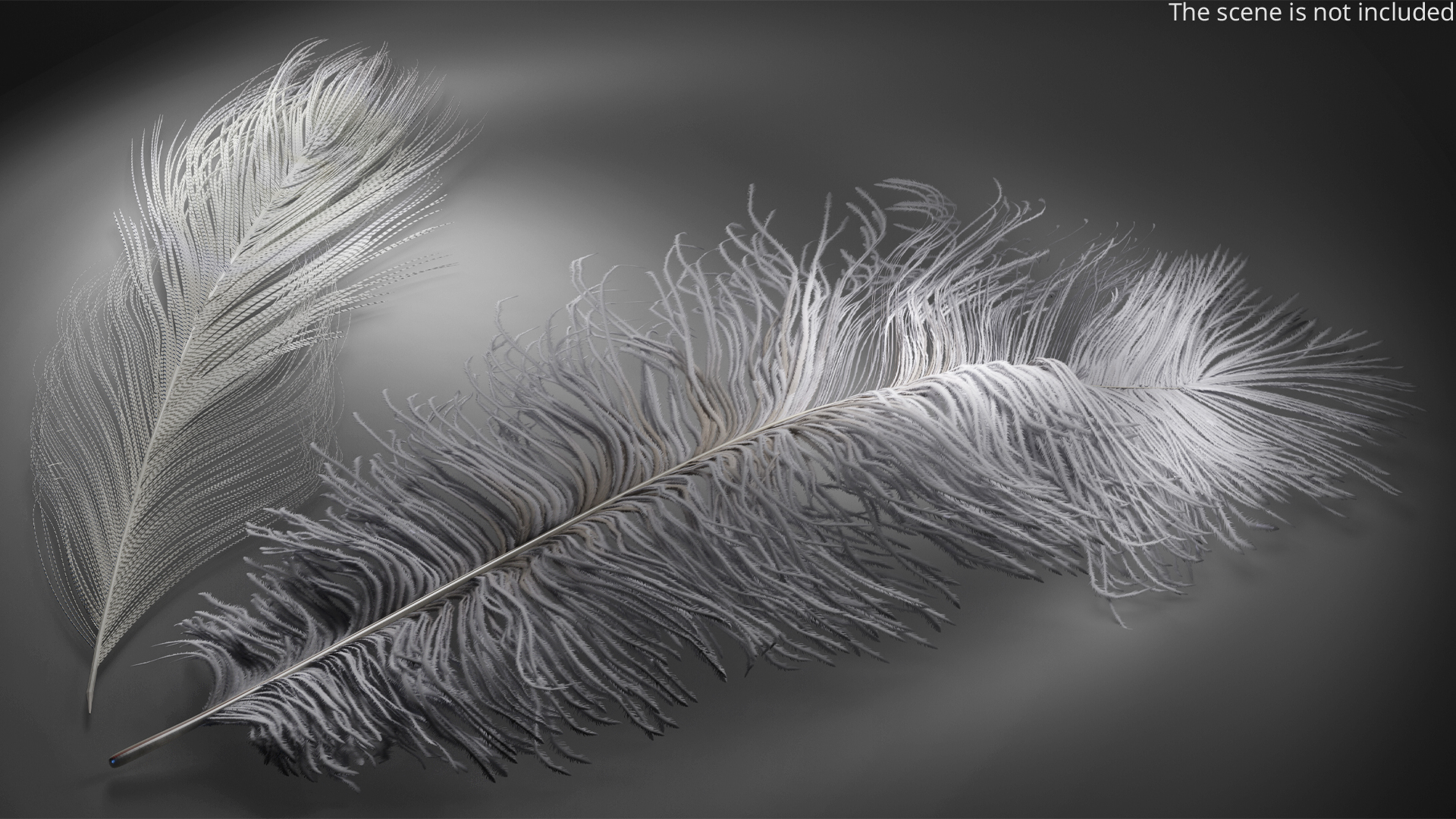 Natural Bird Feathers Set Multicolor Fur - view 2