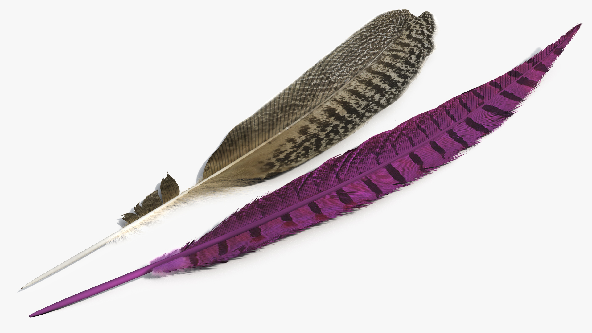Natural Bird Feathers Set Multicolor Fur - view 11