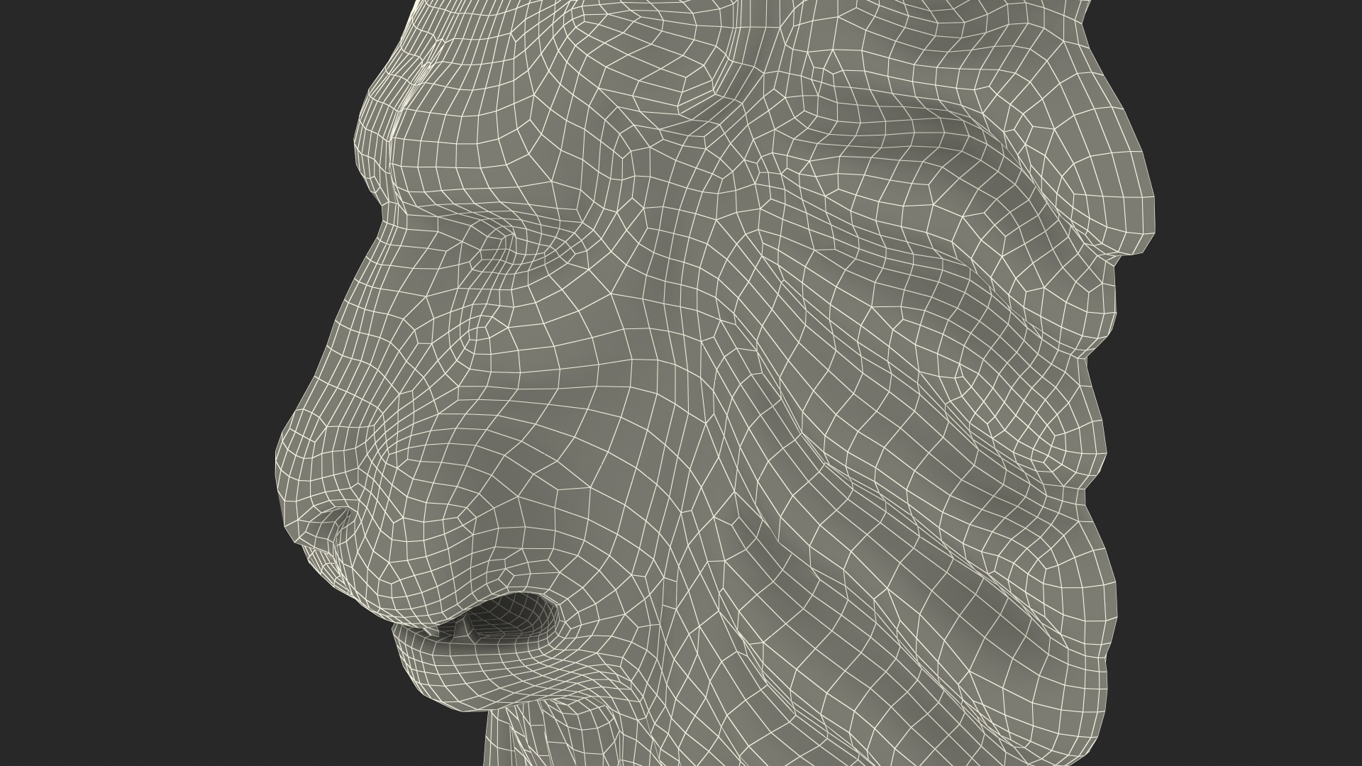 Lion Wall Sculpture 3D model
