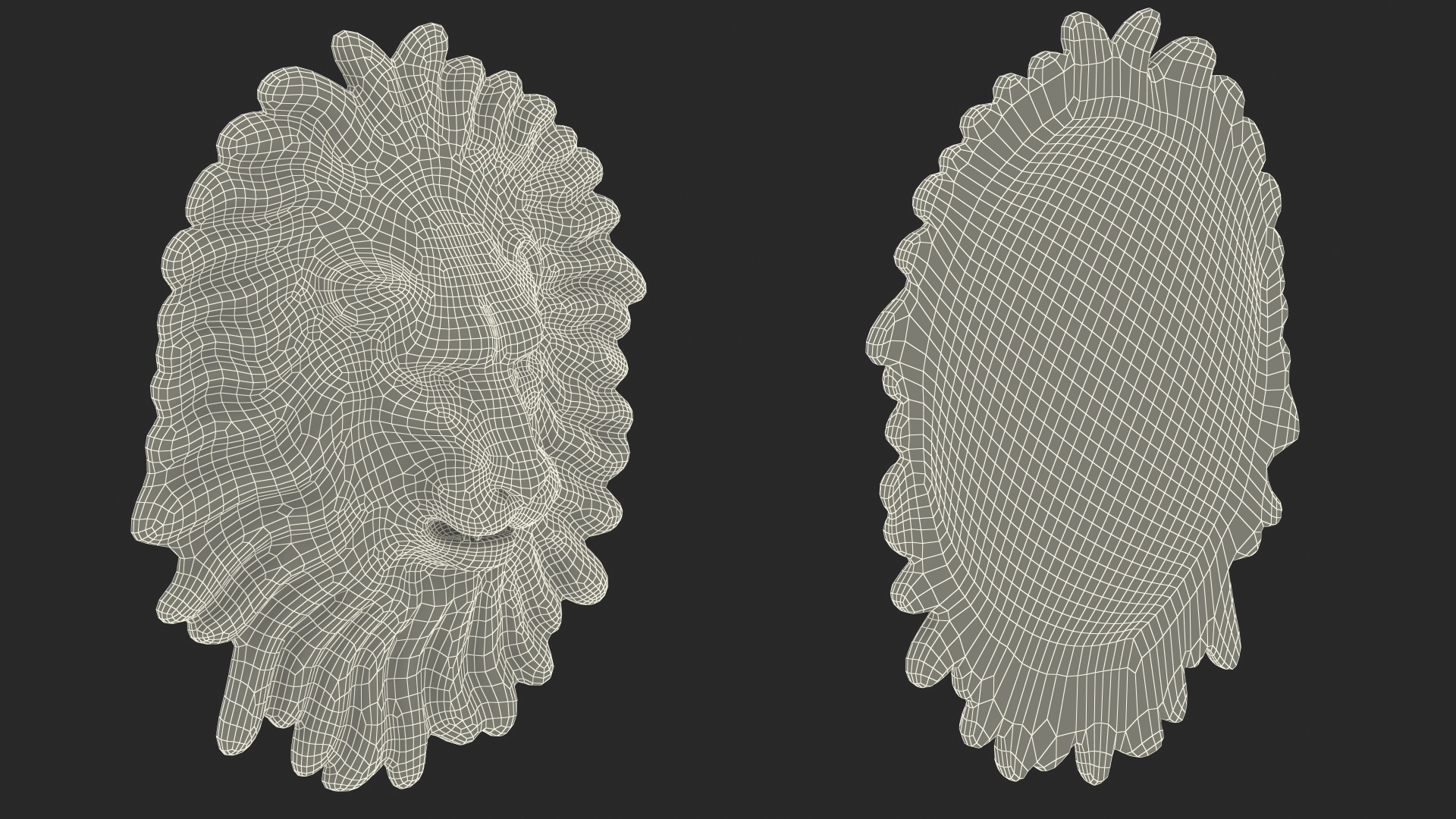 Lion Wall Sculpture 3D model