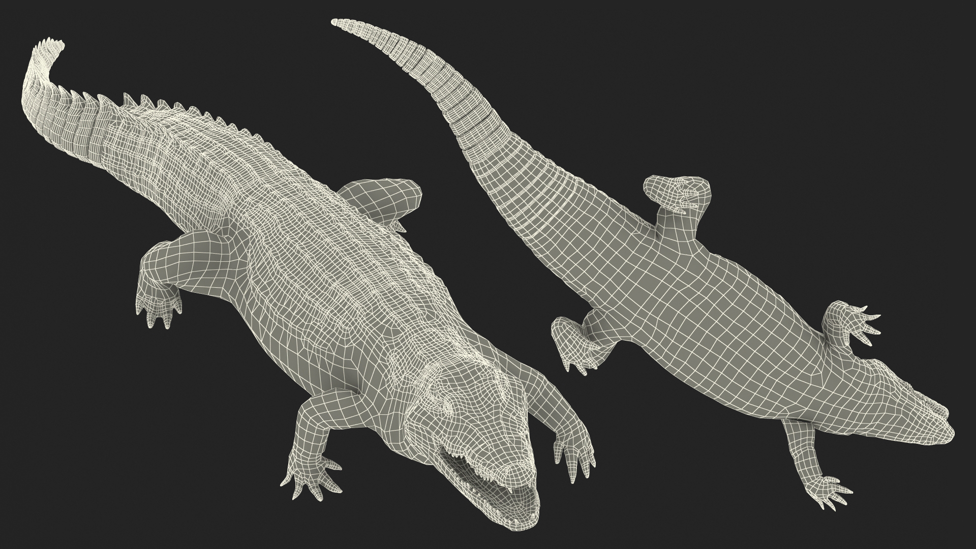 Animated Crocodile Attack Rigged 3D