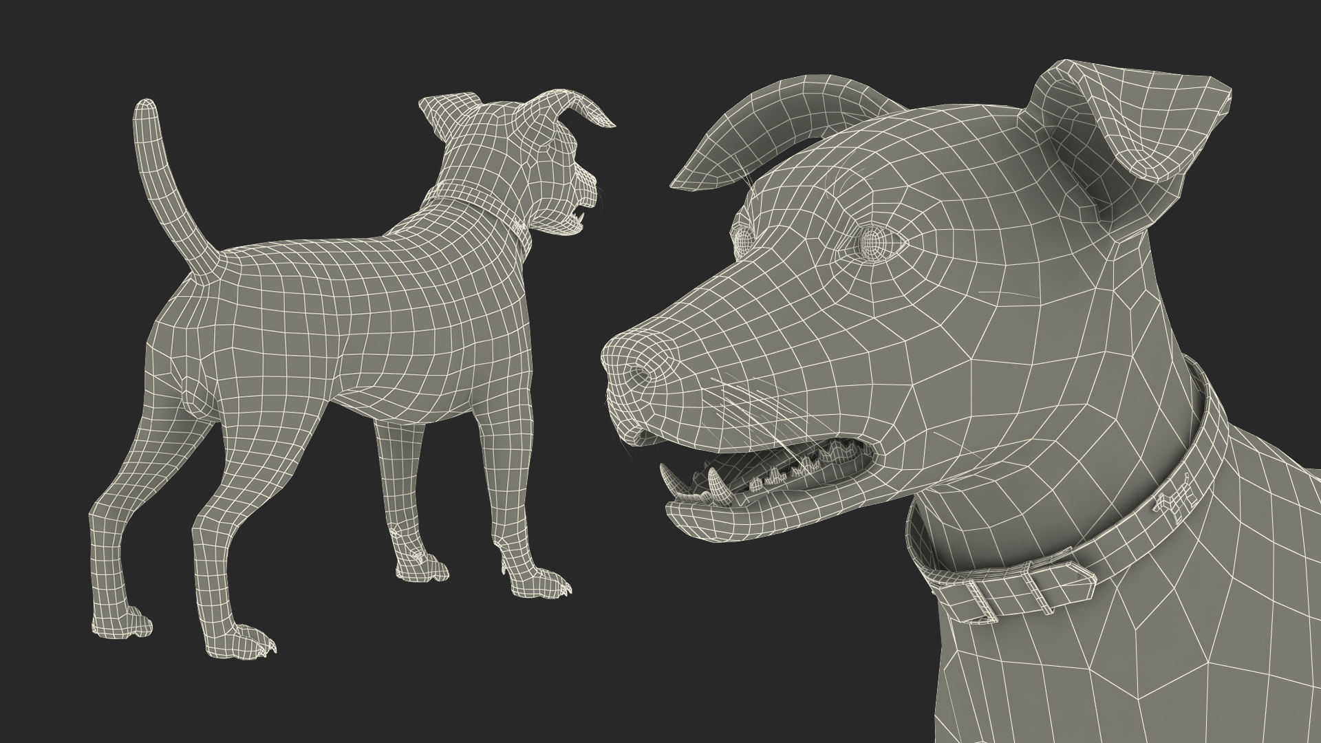 3D Spotted Jack Russell Terrier model