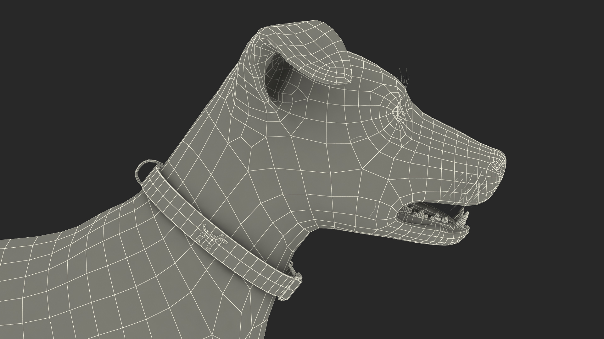 3D Spotted Jack Russell Terrier model
