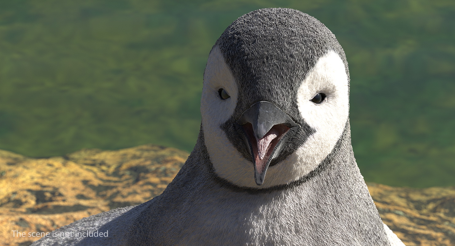 3D model Penguin Baby Walking Pose