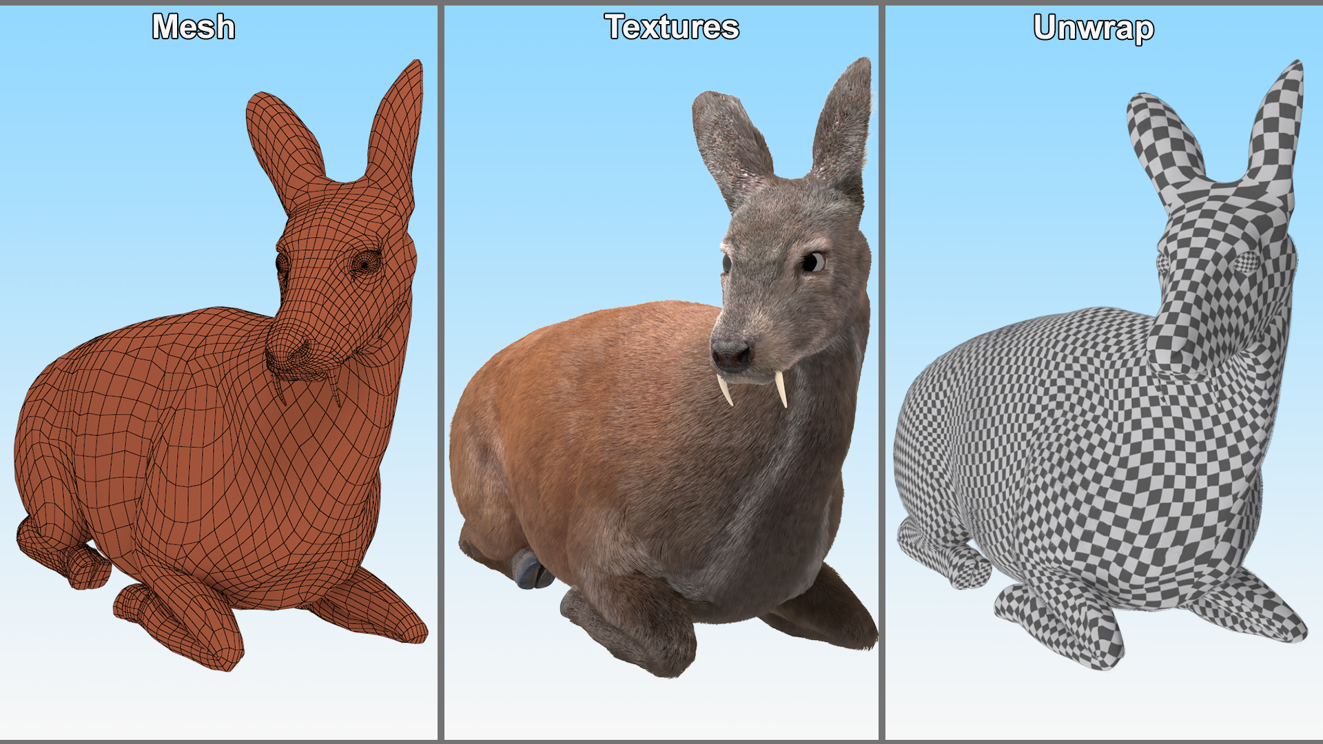 3D Sitting Musk Deer Fur