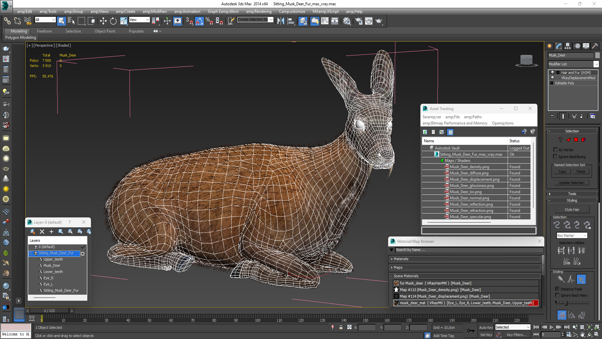 3D Sitting Musk Deer Fur
