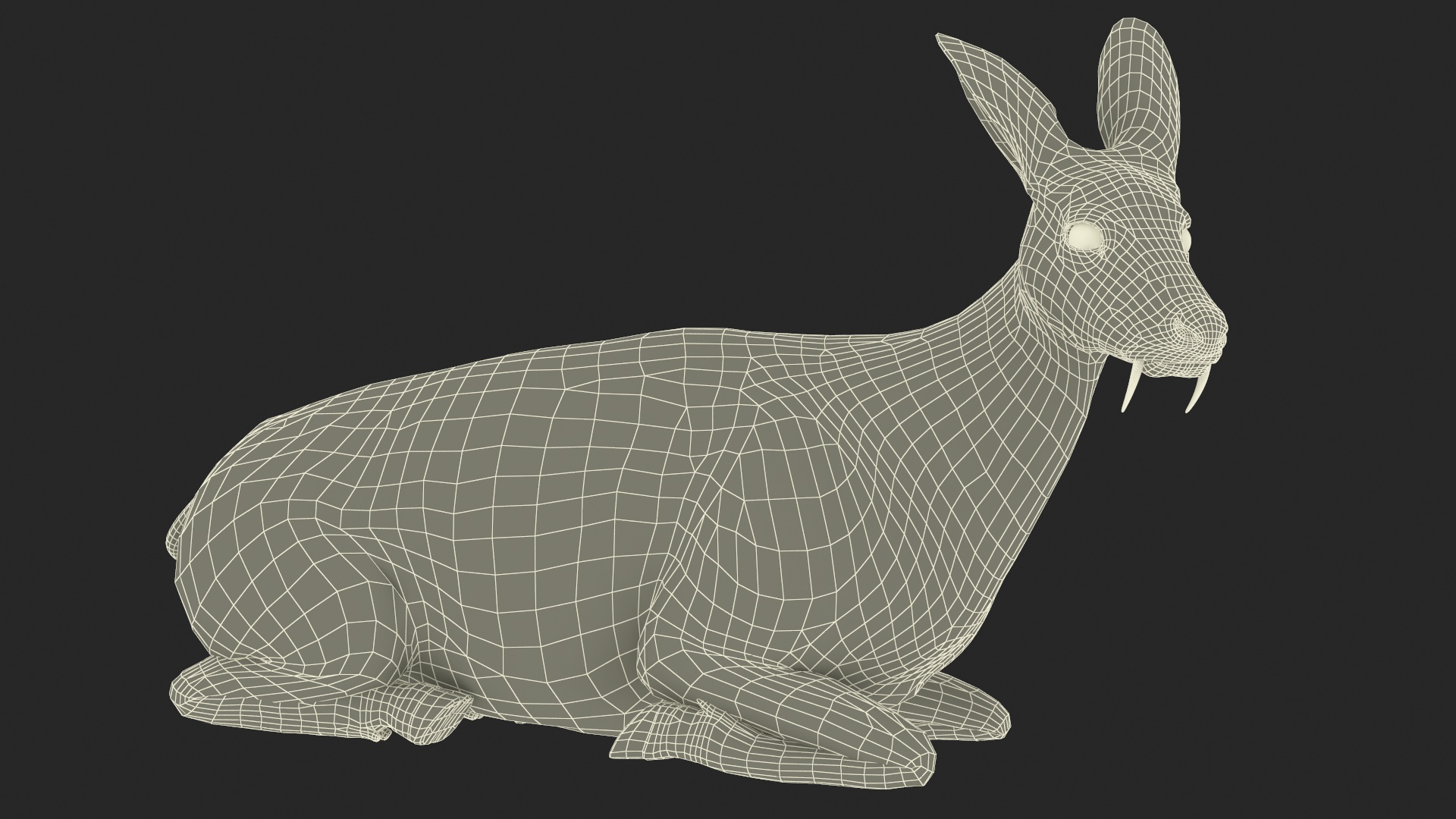 3D Sitting Musk Deer Fur