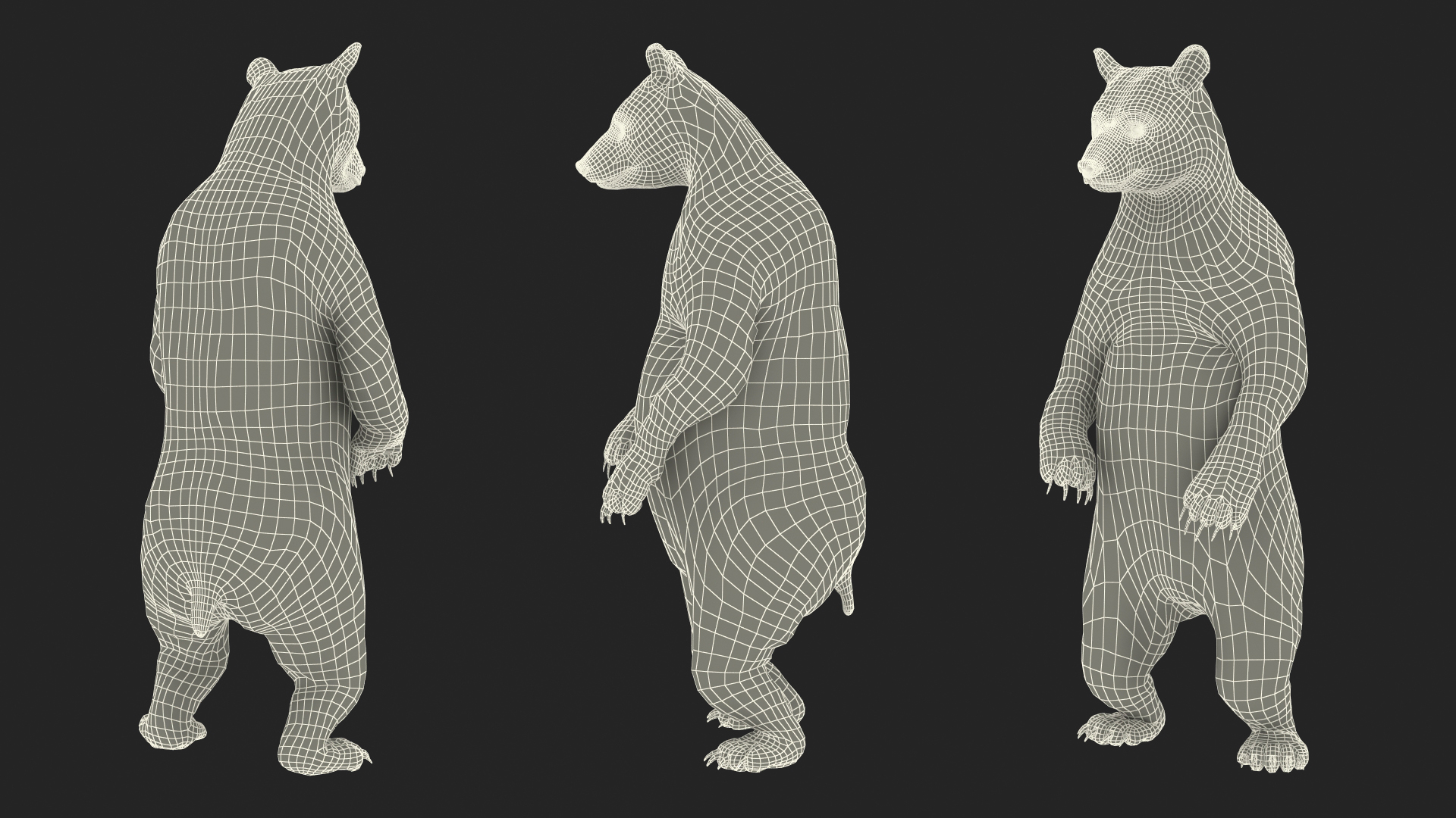 Standing Black Bear 3D model