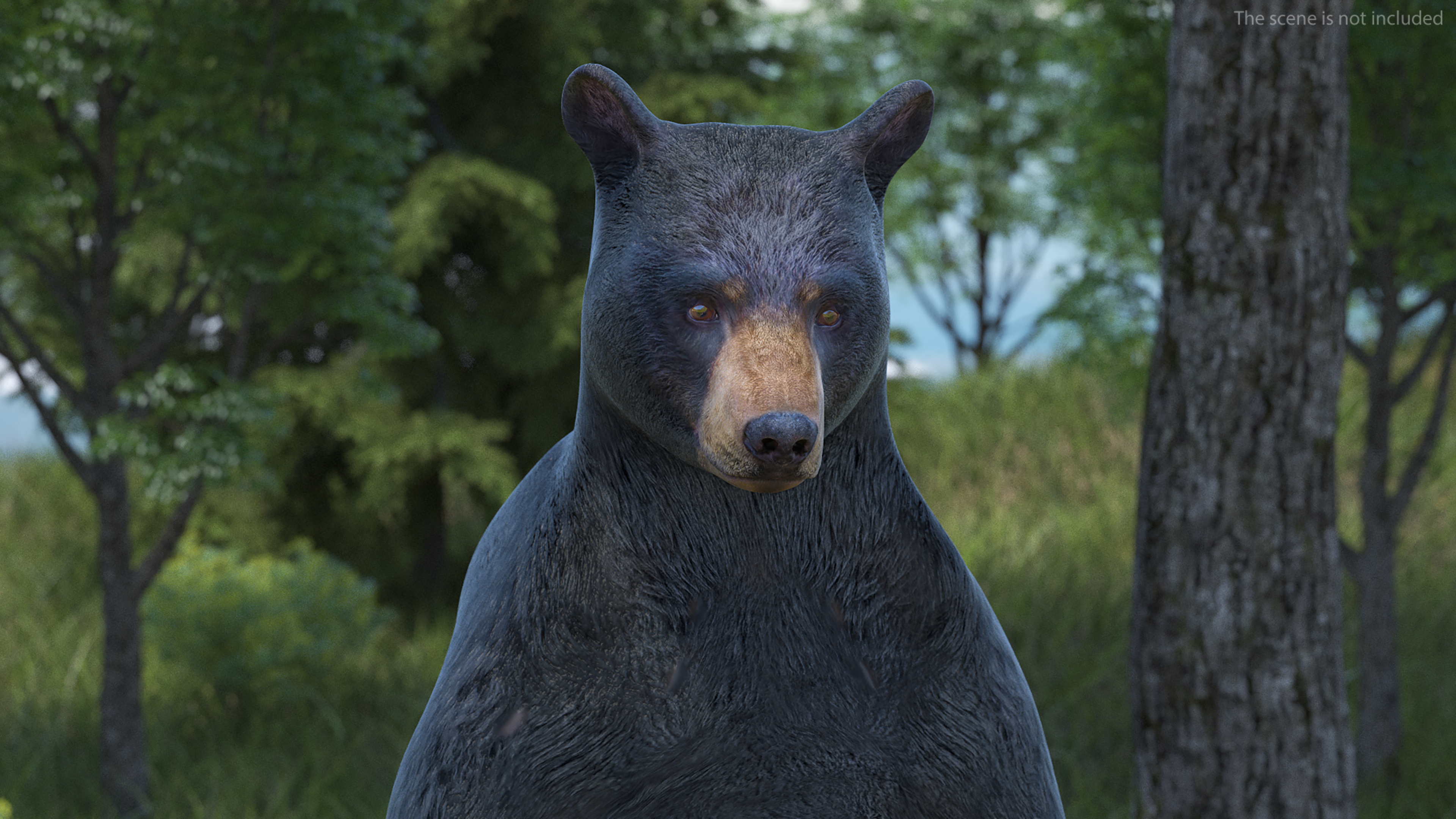 Standing Black Bear 3D model