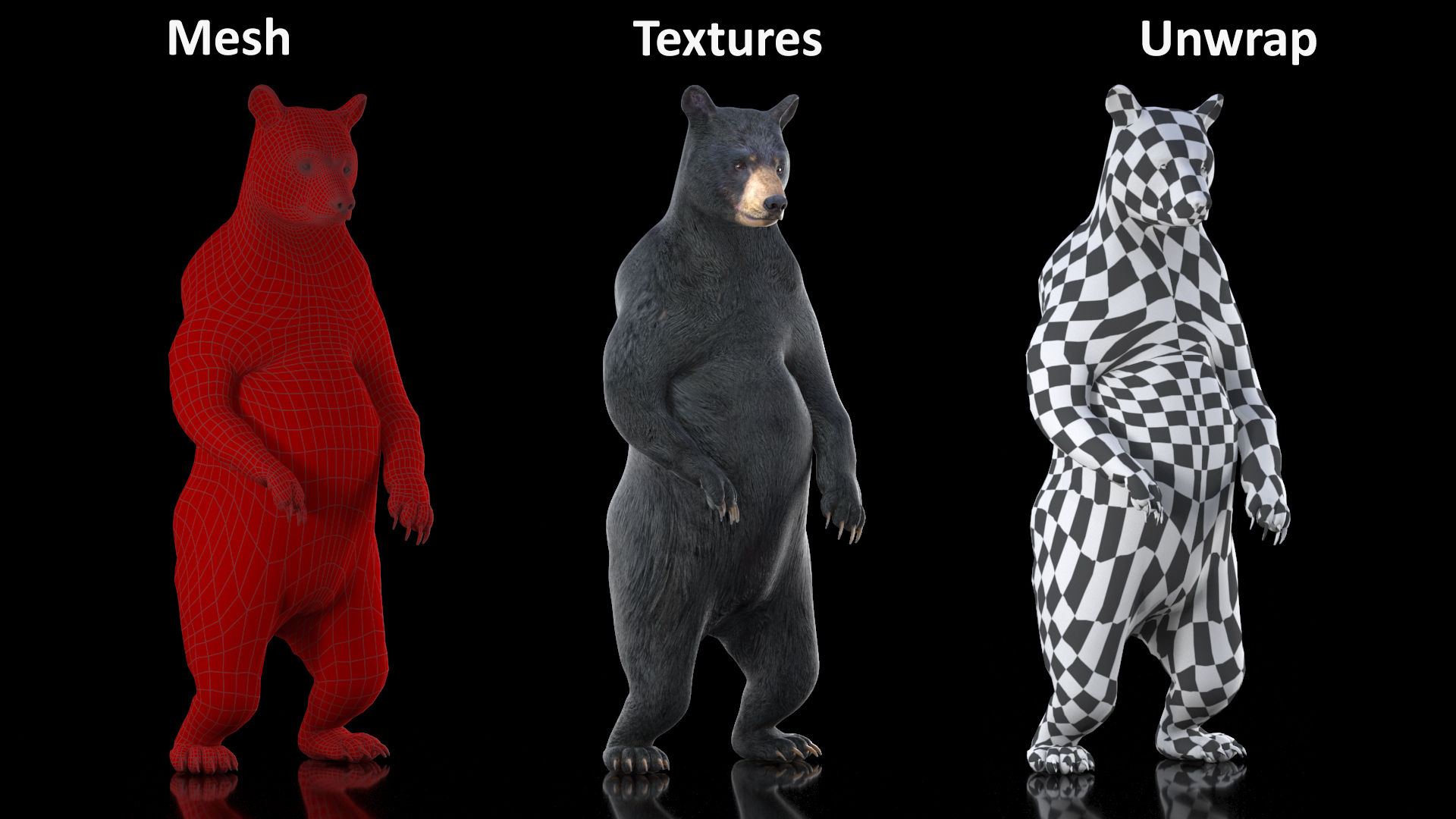 Standing Black Bear 3D model