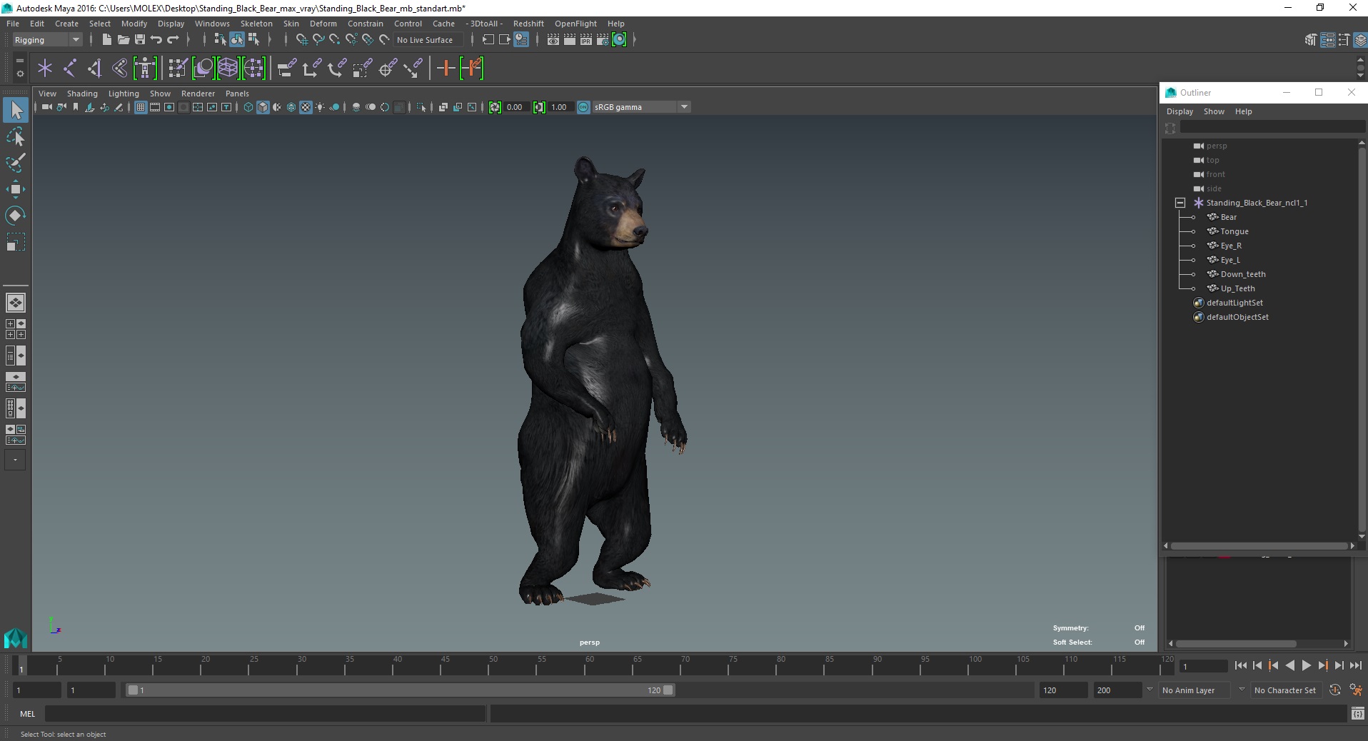 Standing Black Bear 3D model