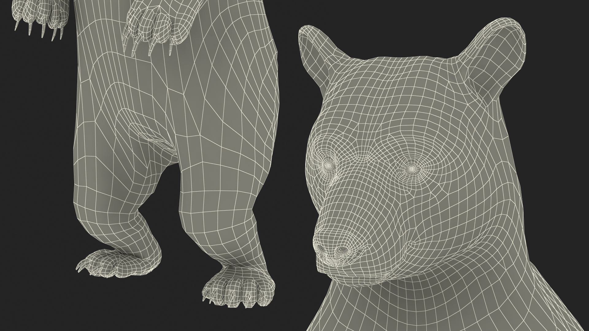 Standing Black Bear 3D model