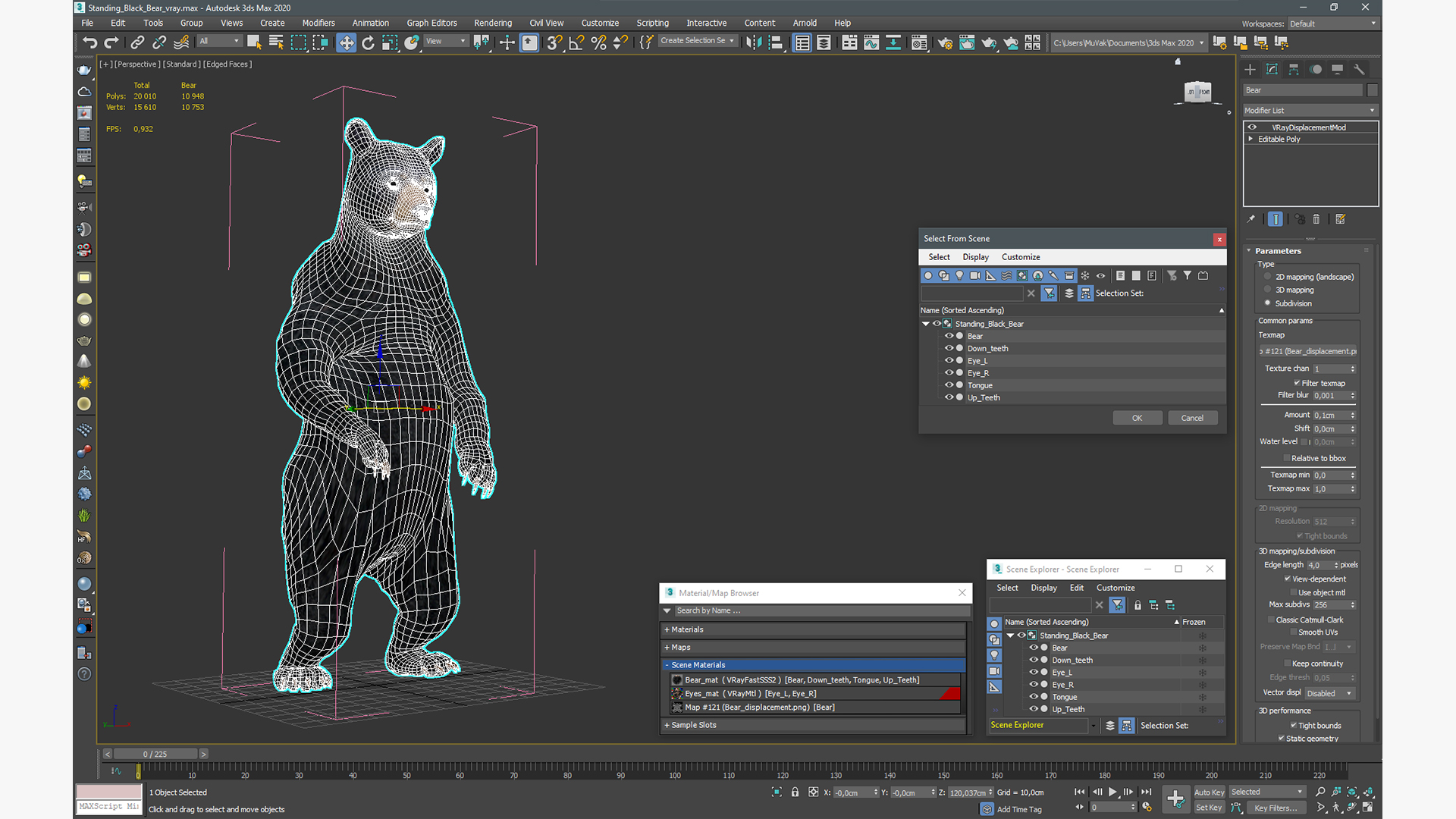 Standing Black Bear 3D model