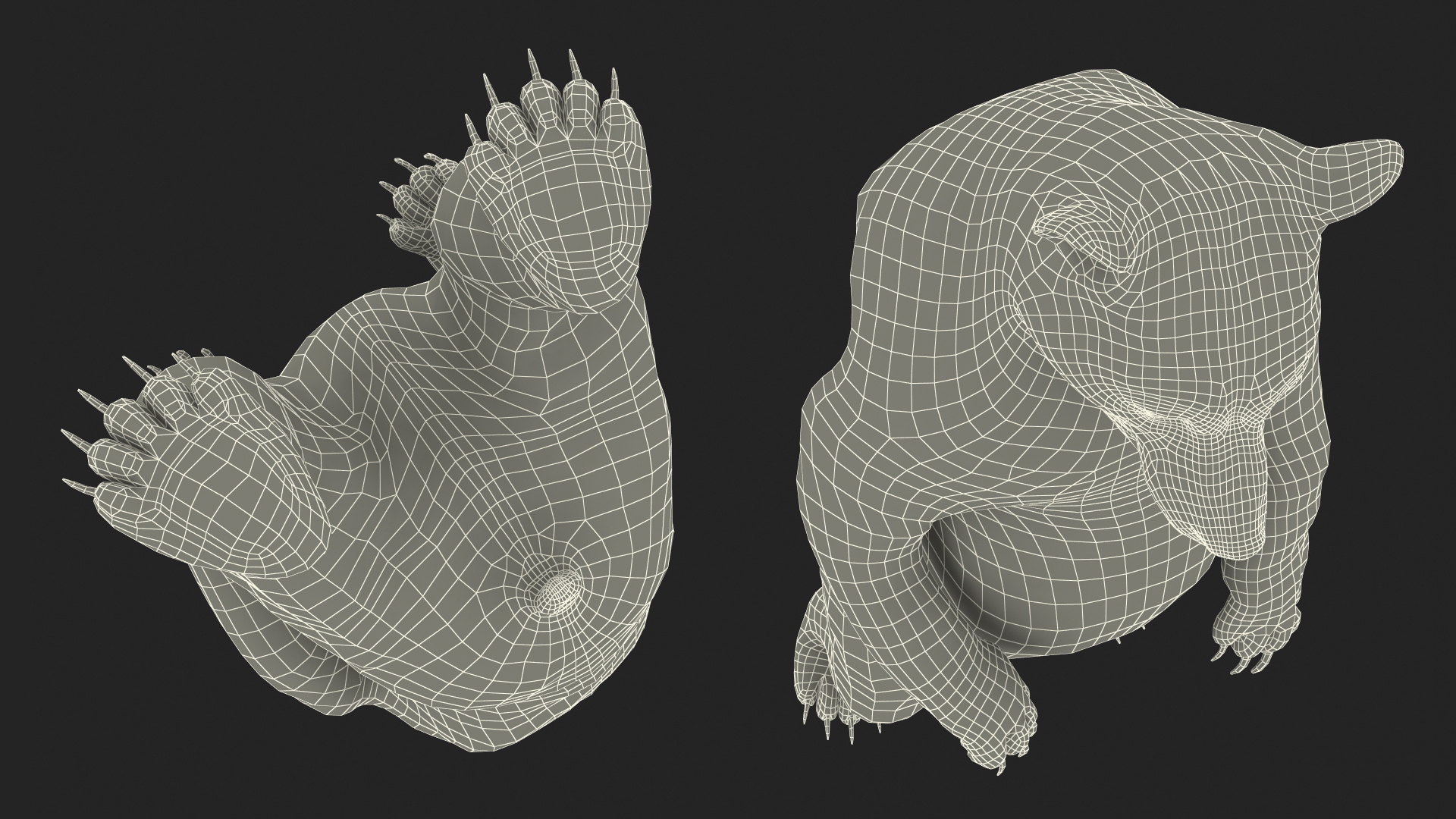 Standing Black Bear 3D model