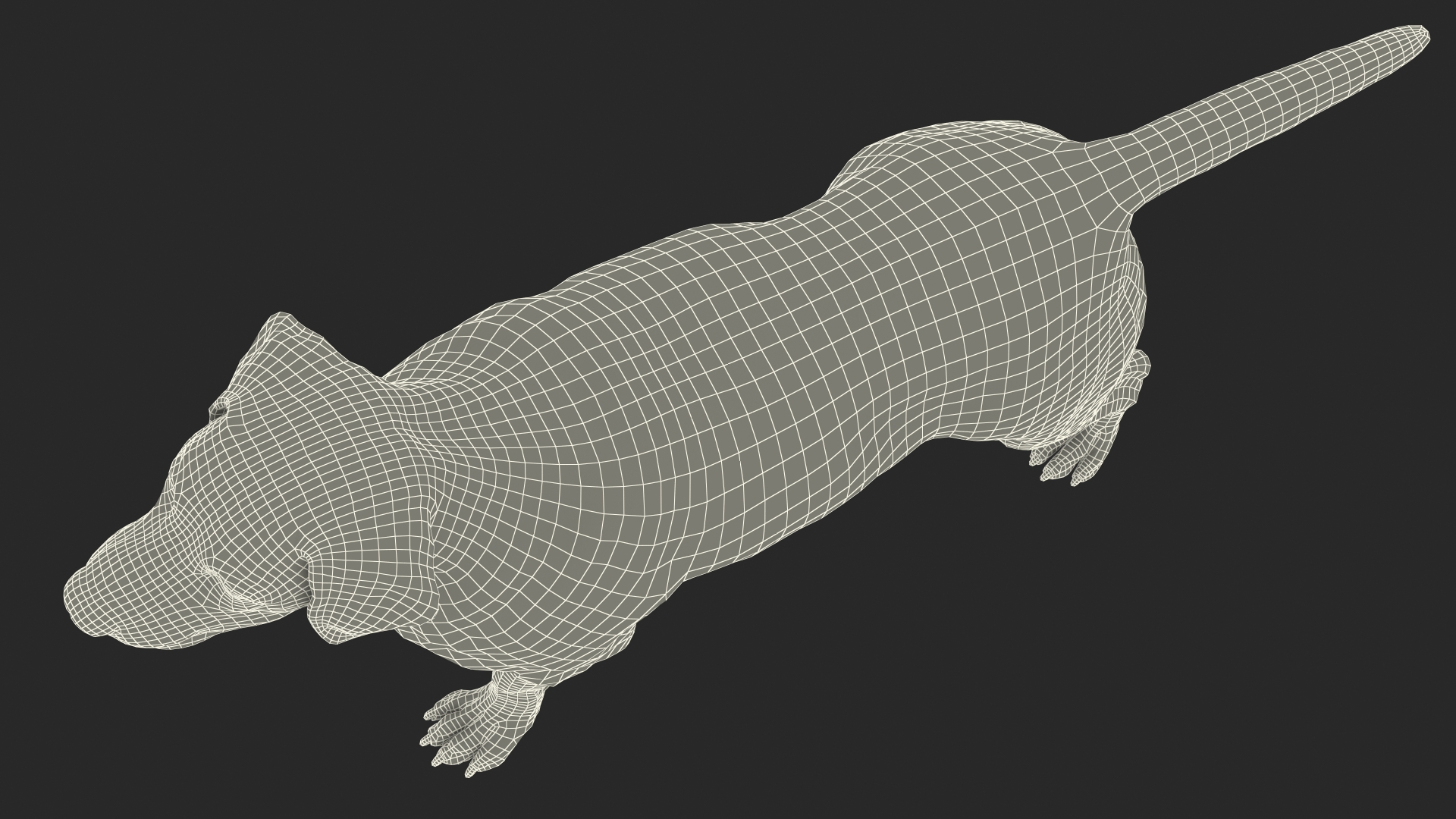 3D model Labrador Dog White Rigged