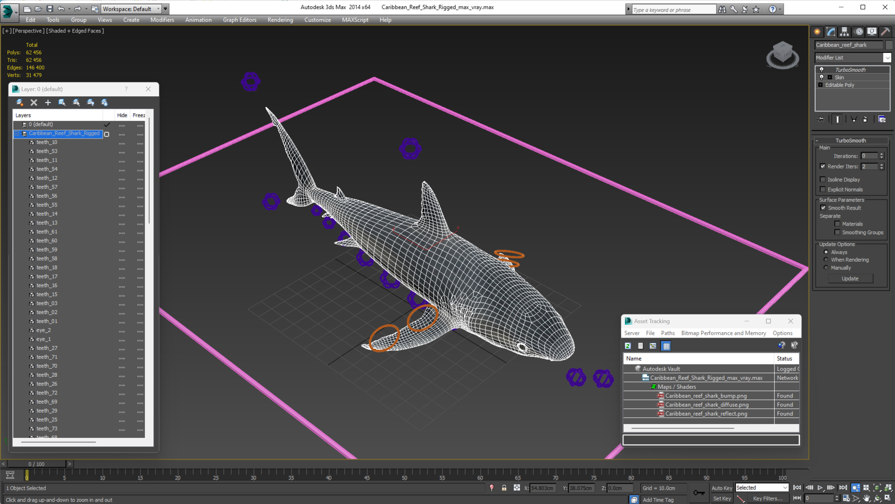 3D Caribbean Reef Shark Rigged for Maya
