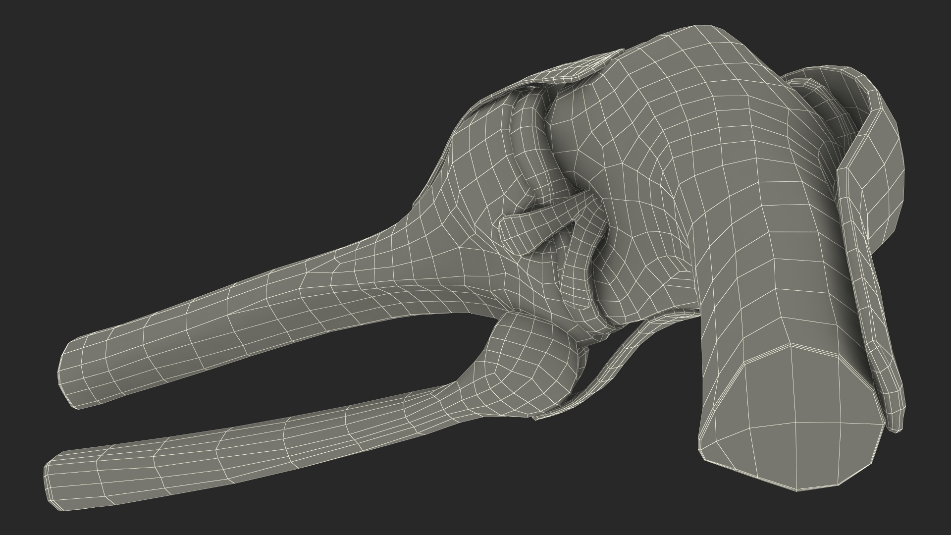 Knee Joint Model Bent State 3D