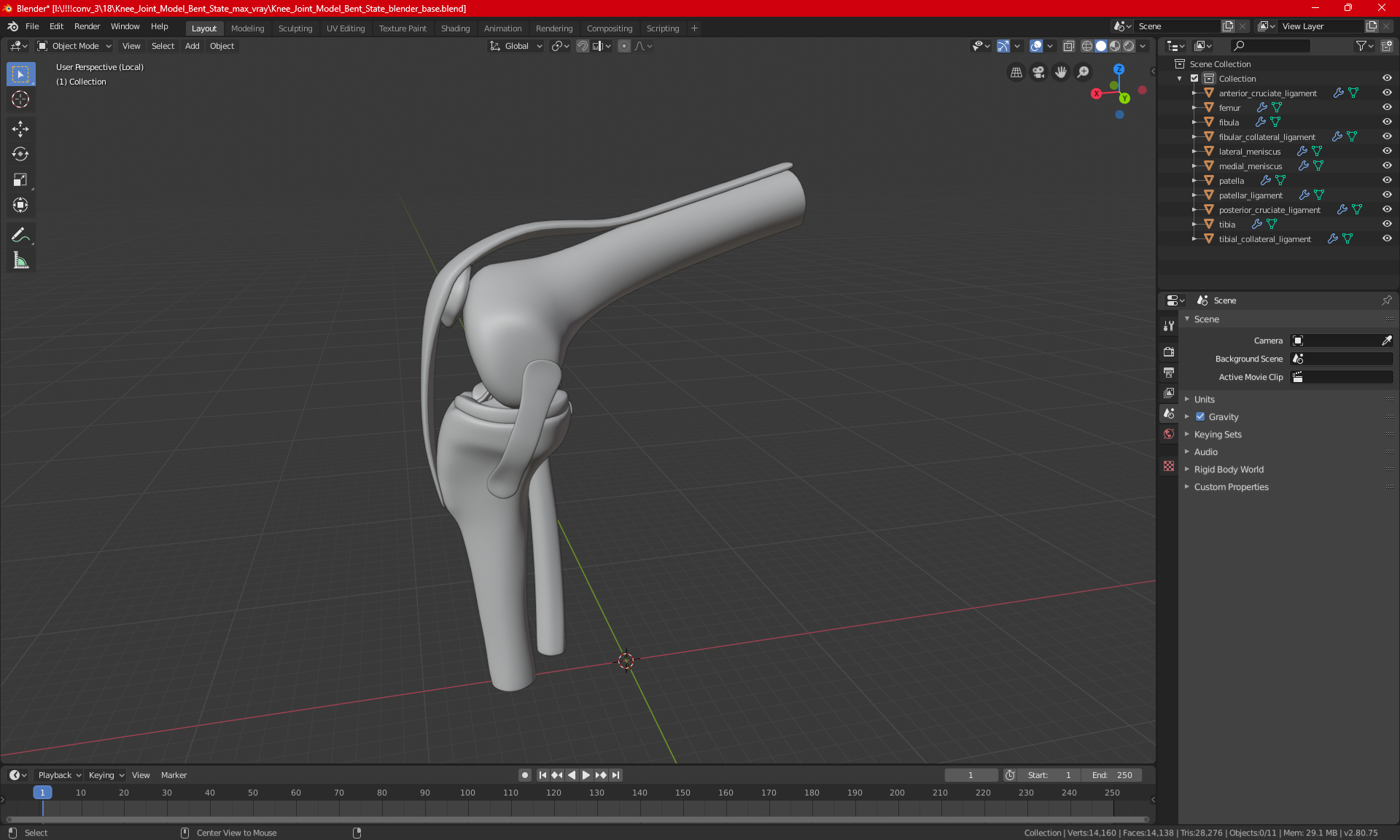 Knee Joint Model Bent State 3D