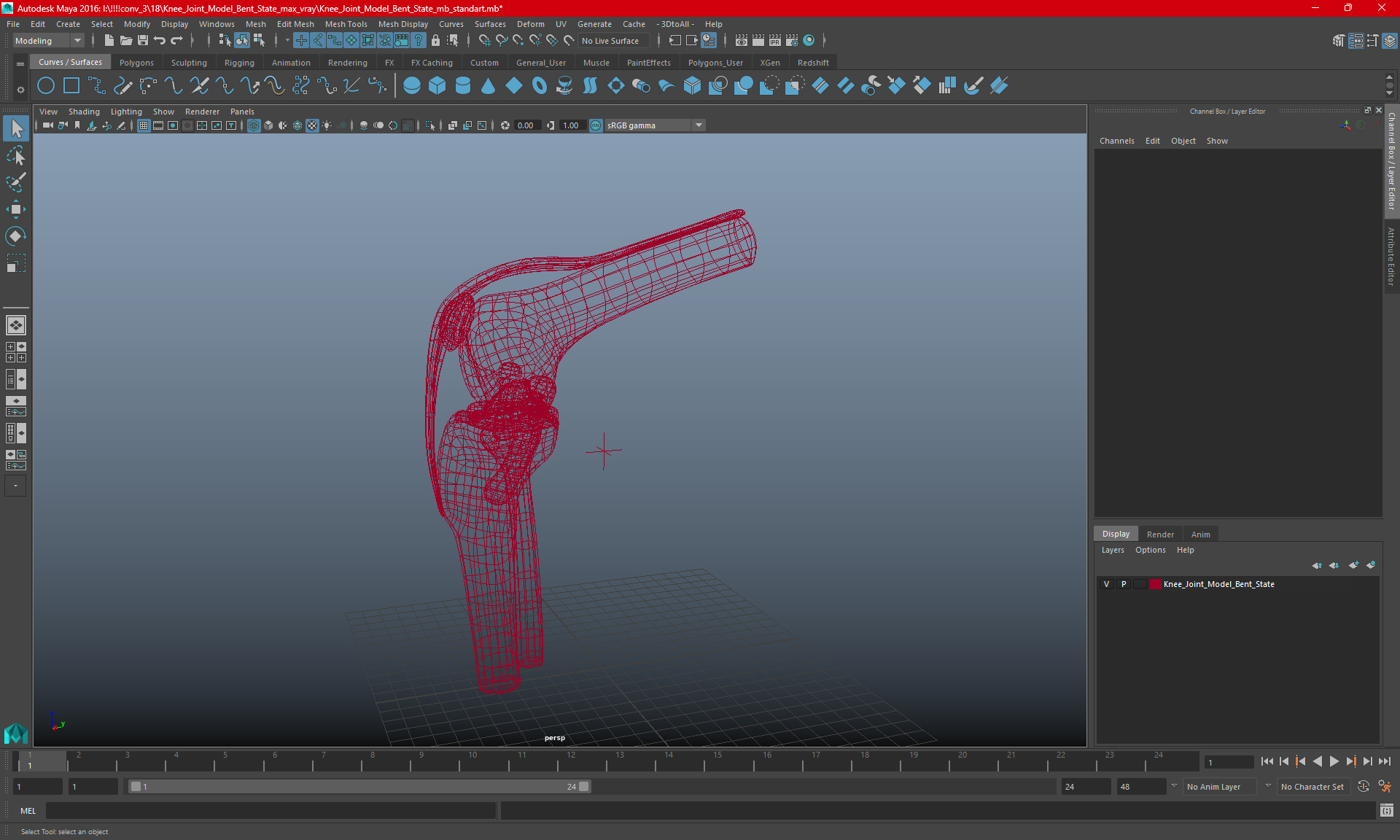 Knee Joint Model Bent State 3D