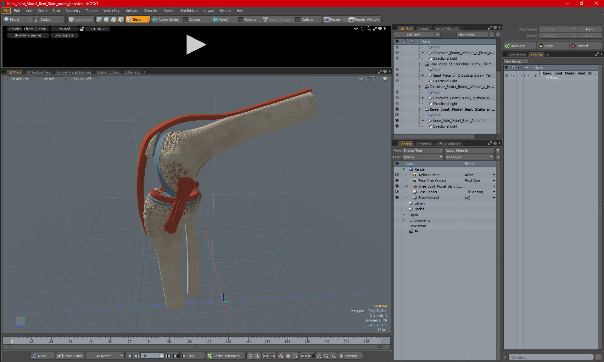 Knee Joint Model Bent State 3D