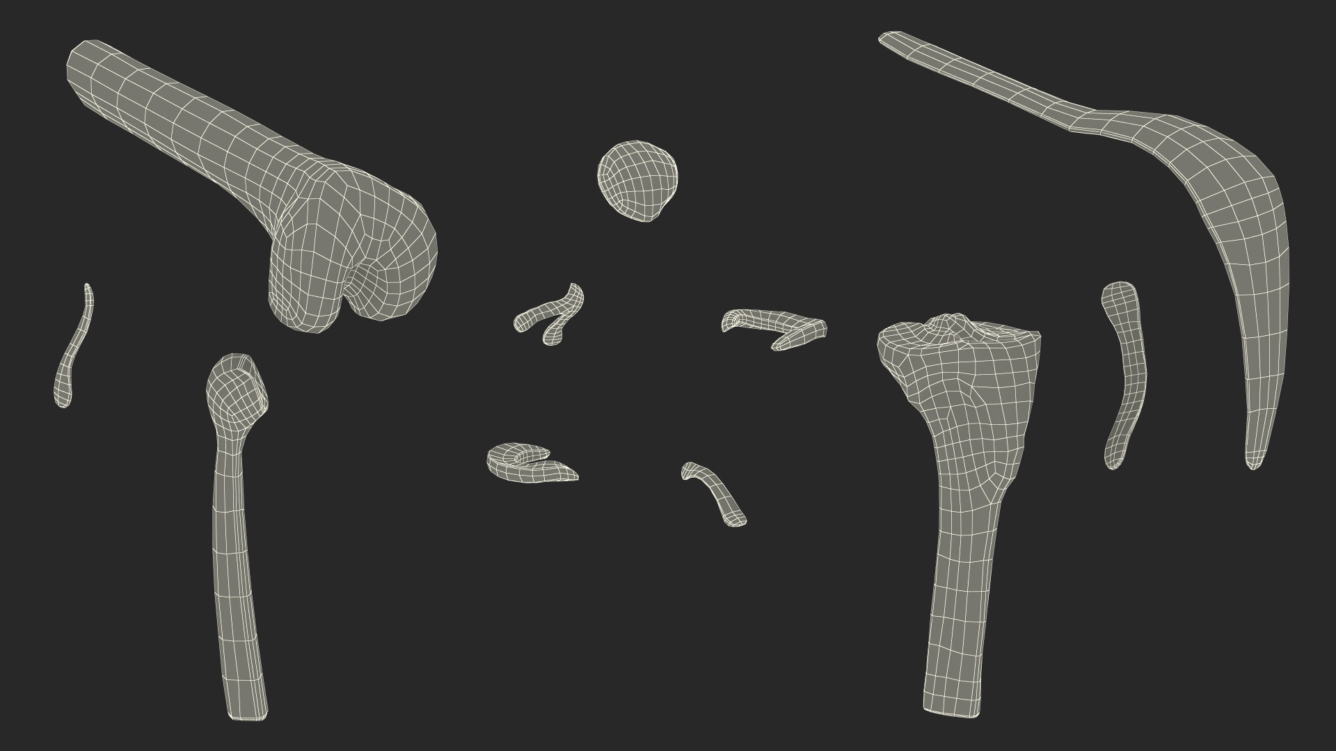 Knee Joint Model Bent State 3D