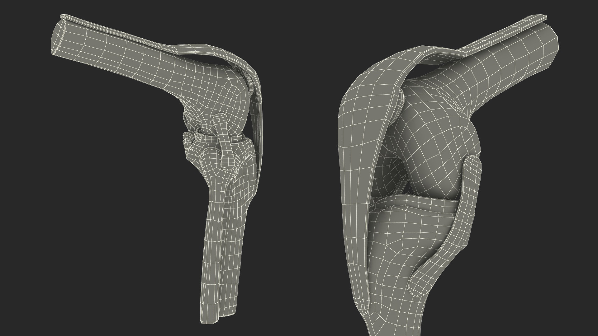Knee Joint Model Bent State 3D