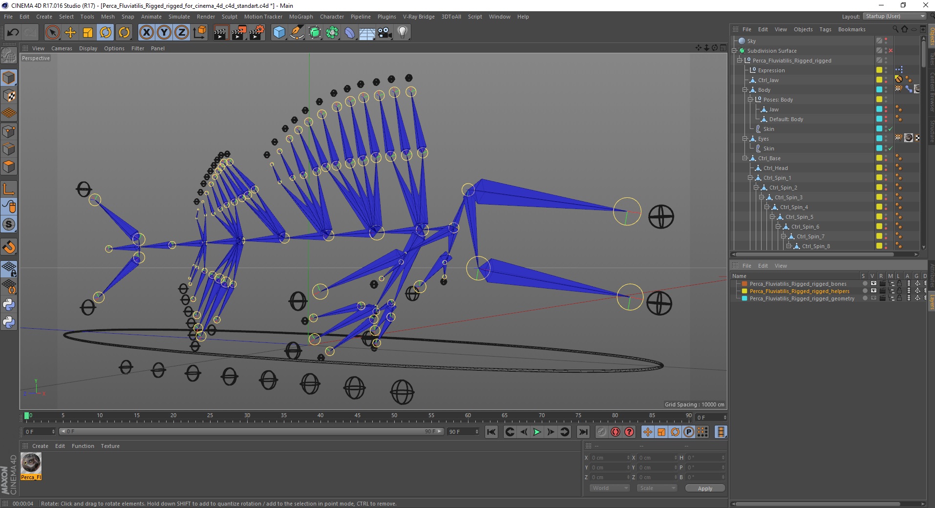 3D Perca Fluviatilis Rigged for Cinema 4D model