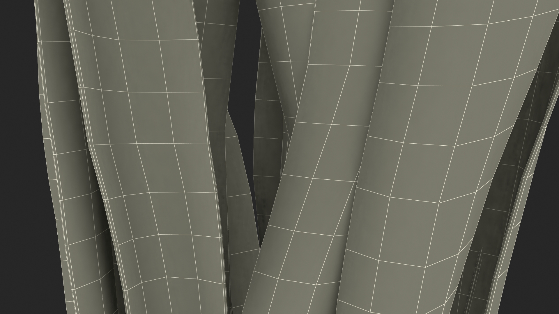 3D Sansevieria Trifasciata model