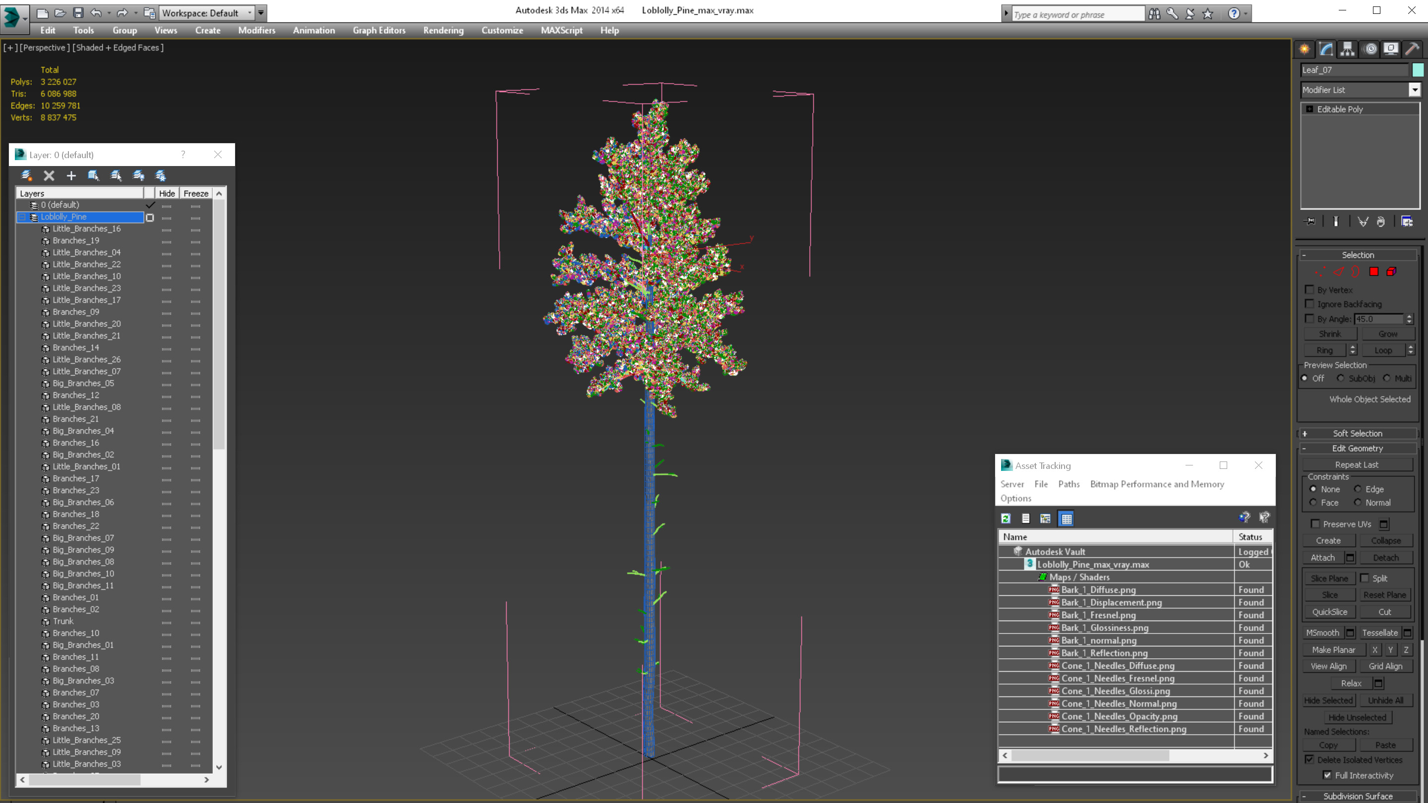 3D Loblolly Pine model