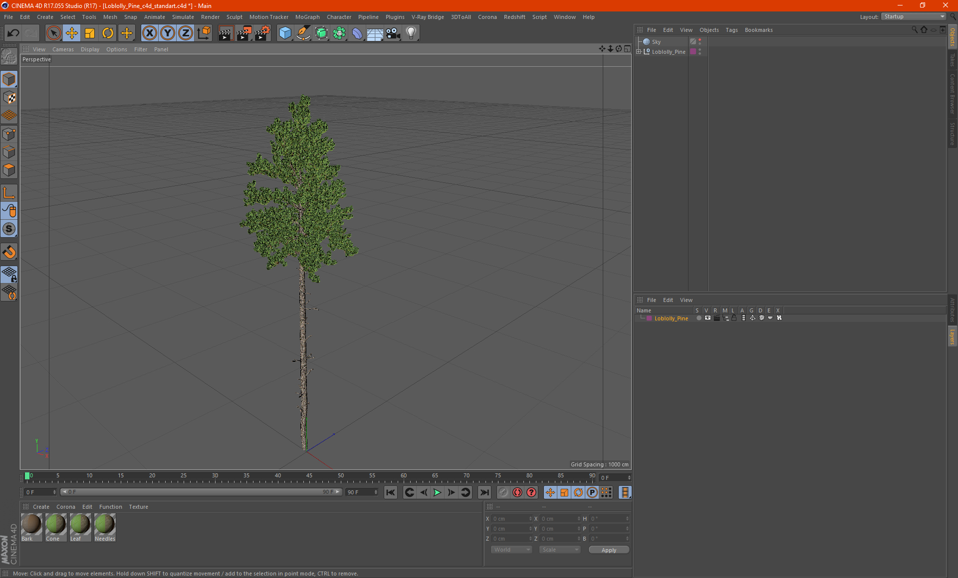 3D Loblolly Pine model