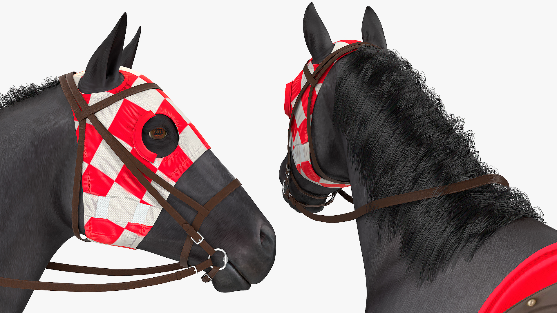 3D Black Racehorse Fur Rigged