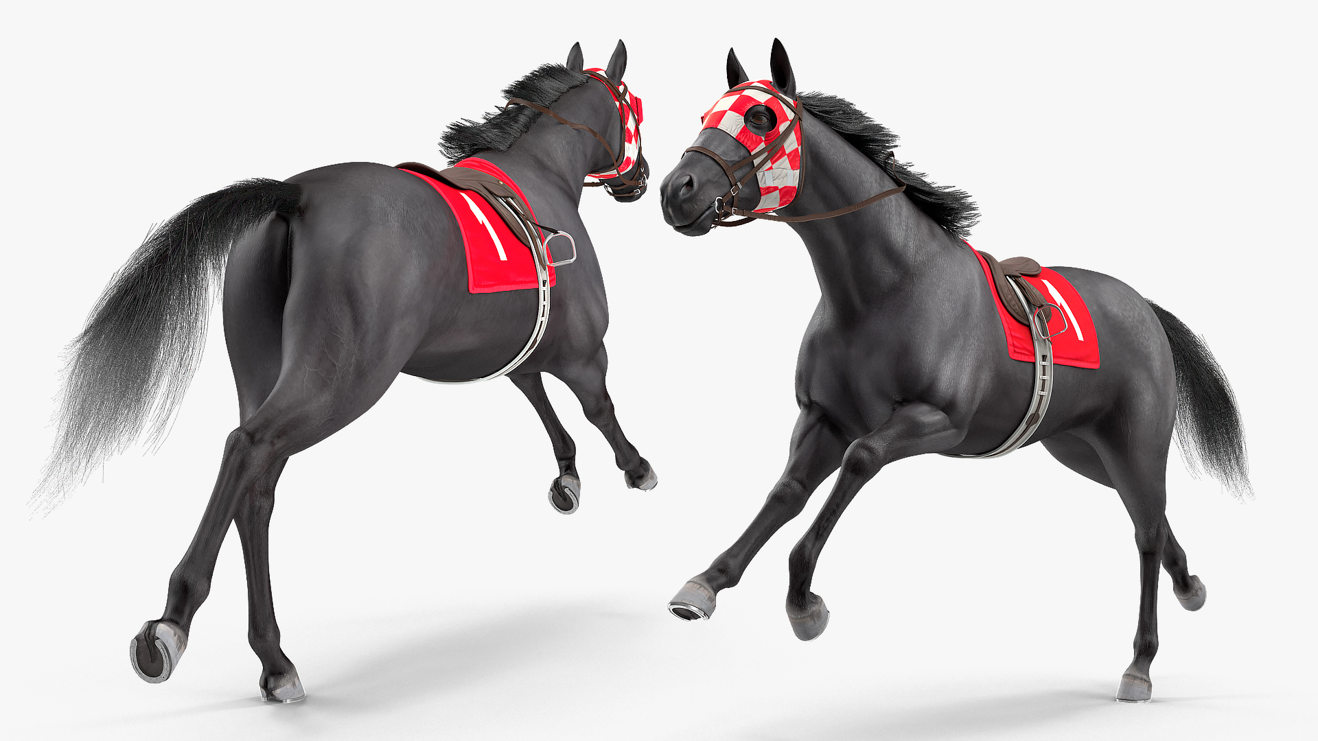 3D Black Racehorse Fur Rigged